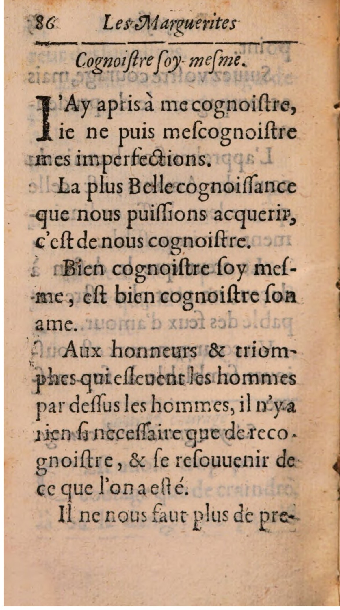 1608 - Théodore Reinsart - Les Marguerites françaises ou Trésor des Fleurs du bien-dire - BSB Munich