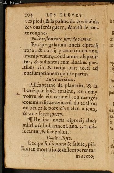 1586 - Benoît Rigaud - Trésor des fleurs et secrets de médecine - Université Paris Cité
