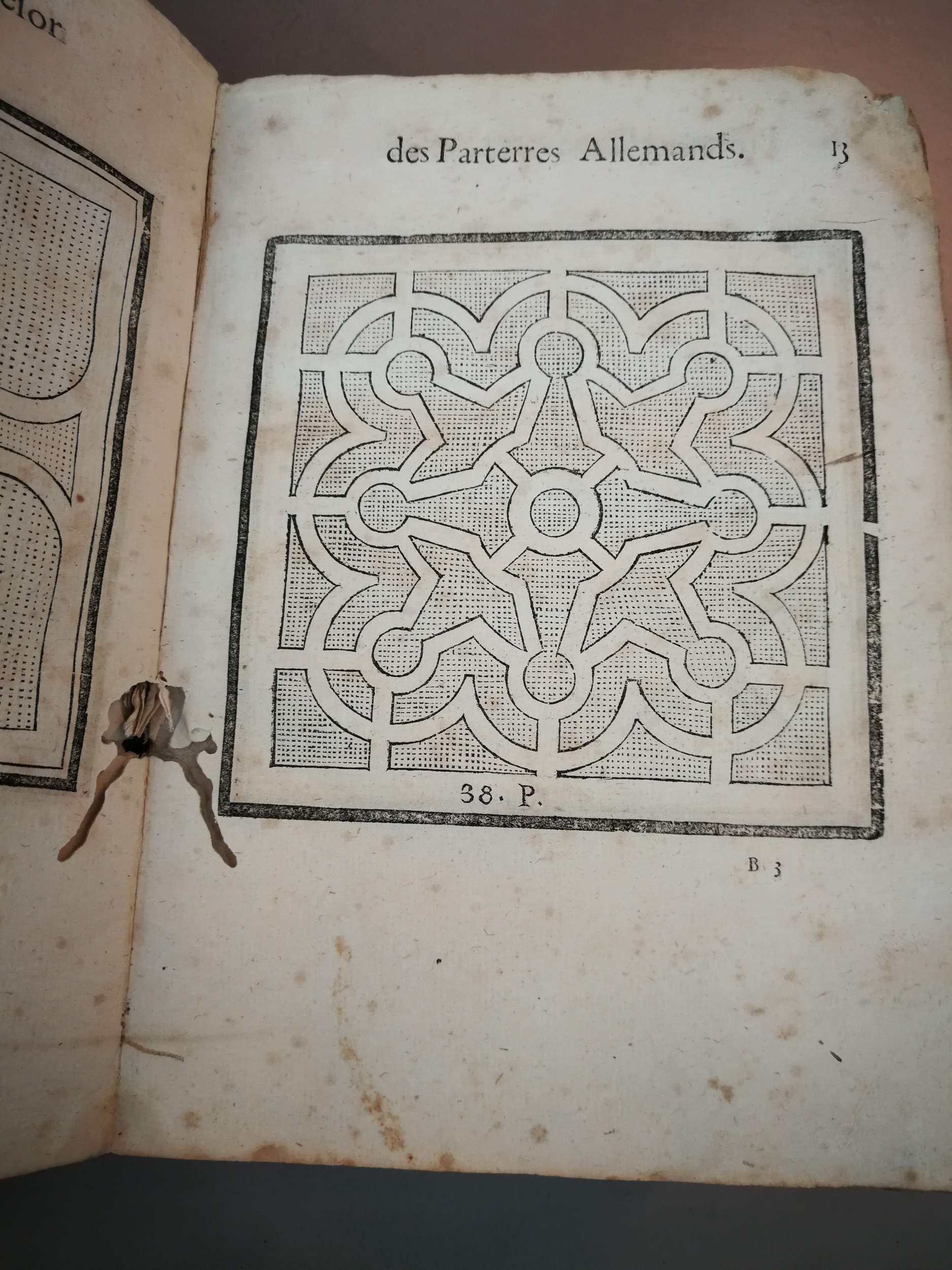 1629 - Étienne Gamonet - Trésor des parterres de l’univers - BM Marseille
