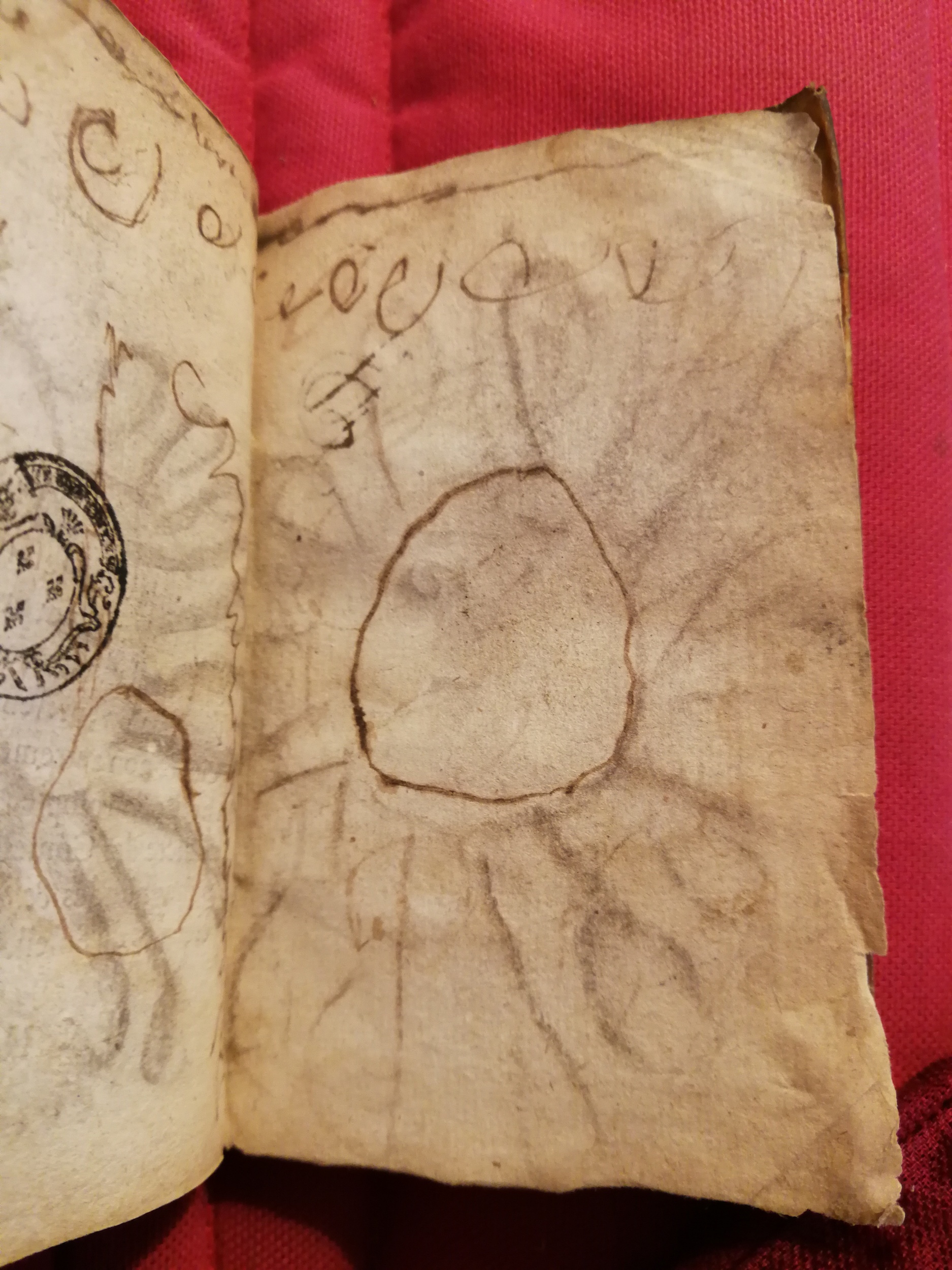 1586 - Benoît Rigaud - Trésor des fleurs et secrets de médecine - Sainte-Geneviève