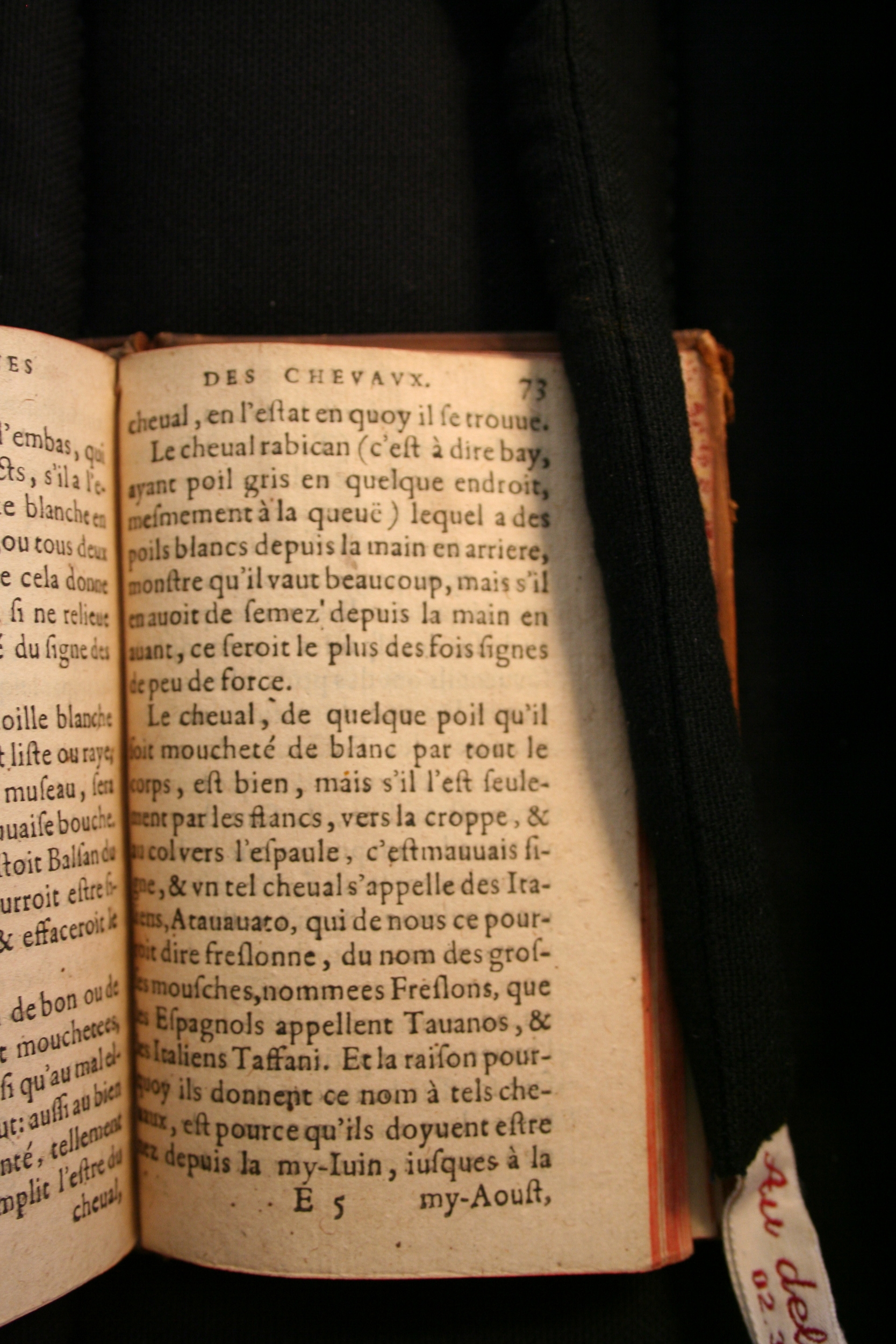 1591 - Pierre Chastaing et Benoît Rigaud - Trésor des bêtes chevalines - BM Bordeaux