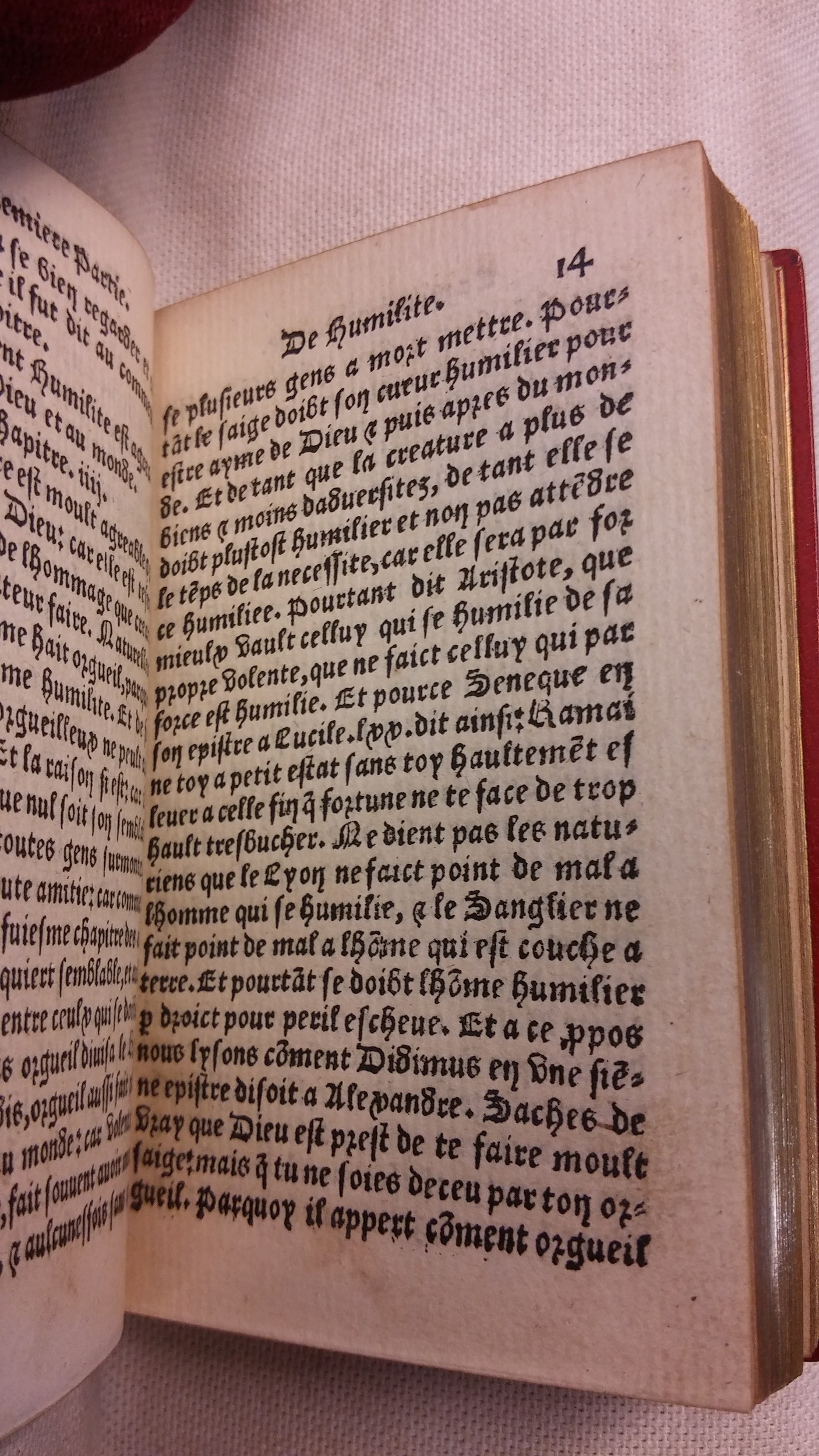 1542 - Denis de Harsy - Trésor de sapience et fleur de toute bonté - BIS