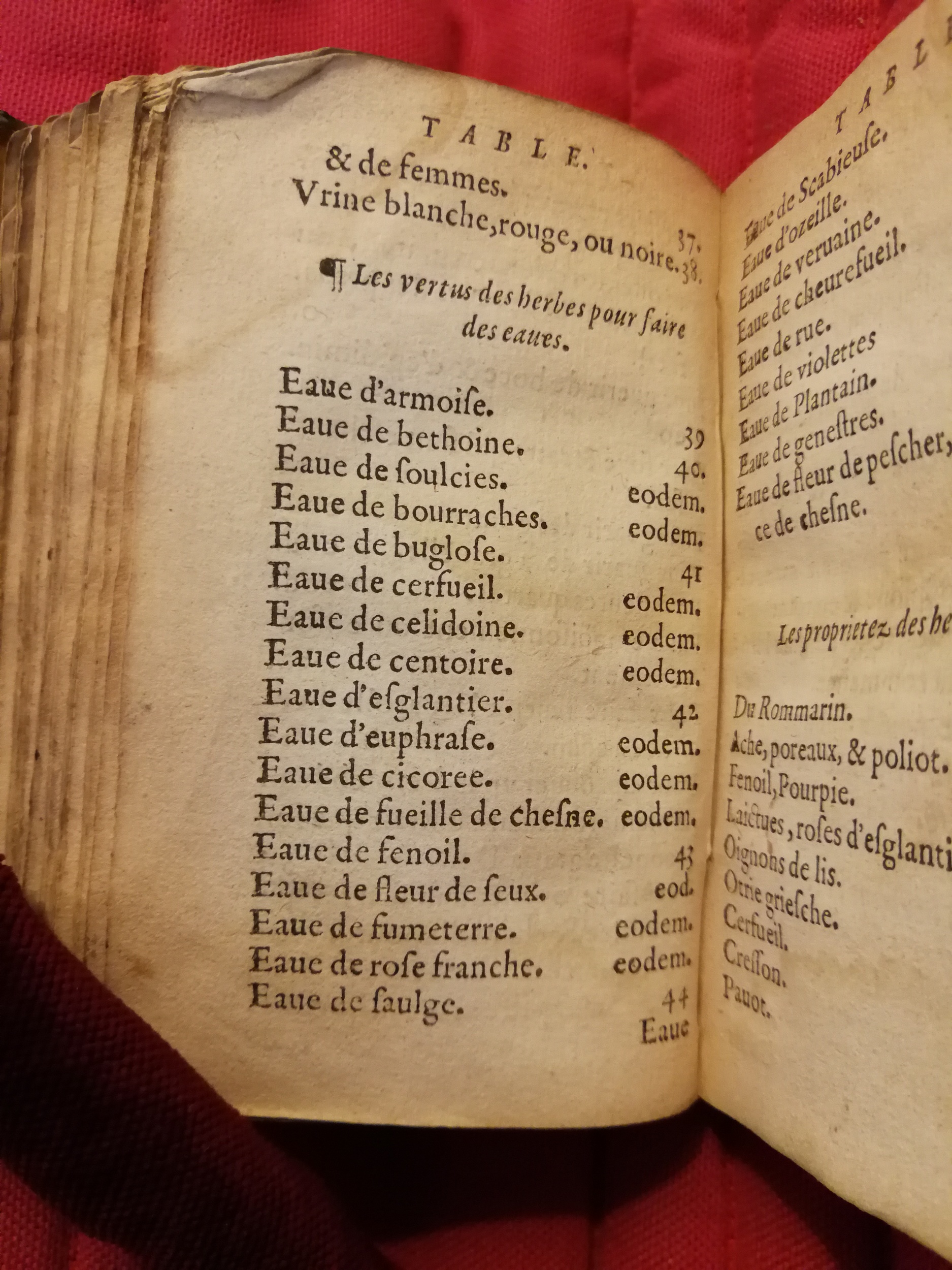 1586 - Benoît Rigaud - Trésor des fleurs et secrets de médecine - Sainte-Geneviève