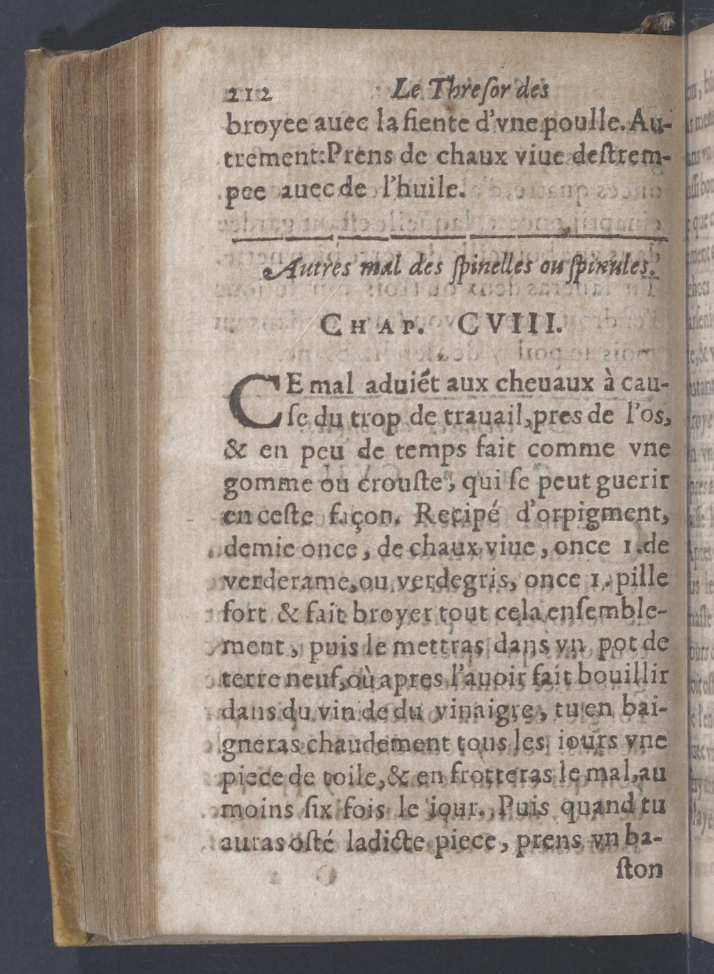 1619 - Pierre Rigaud - Trésor des bêtes chevalines - BnF