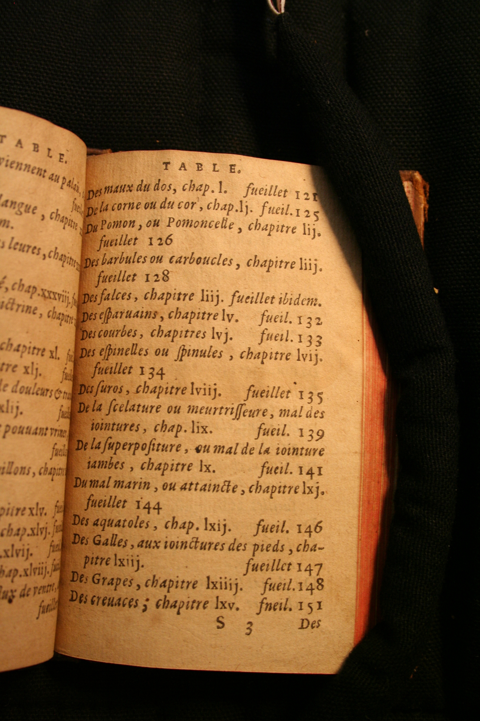 1591 - Pierre Chastaing et Benoît Rigaud - Trésor des bêtes chevalines - BM Bordeaux