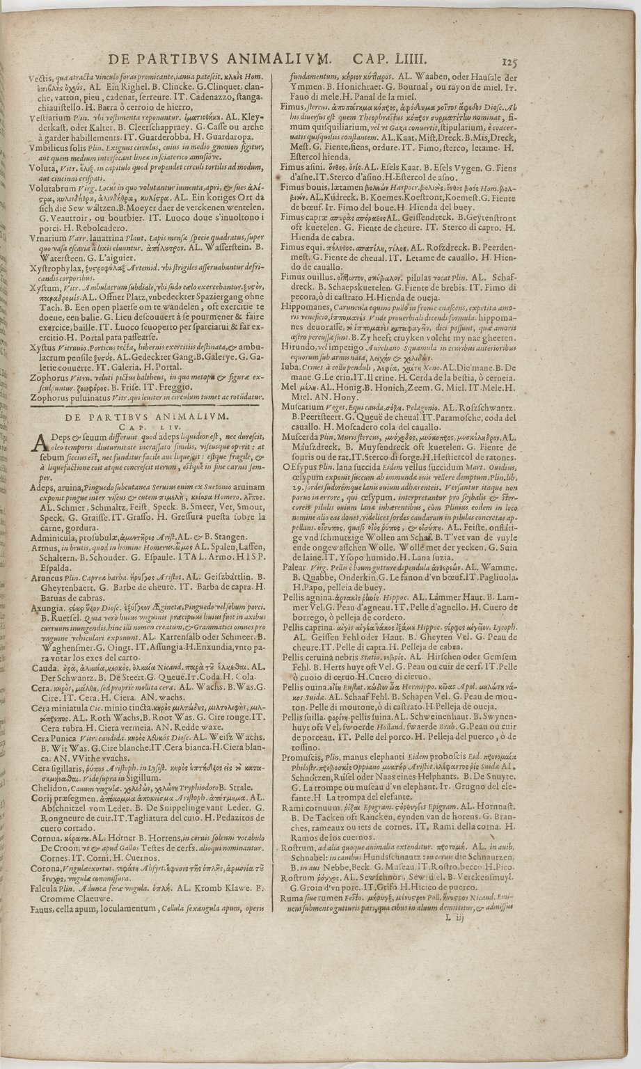 1606 - David Douceur - Trésor de la langue française - BnF