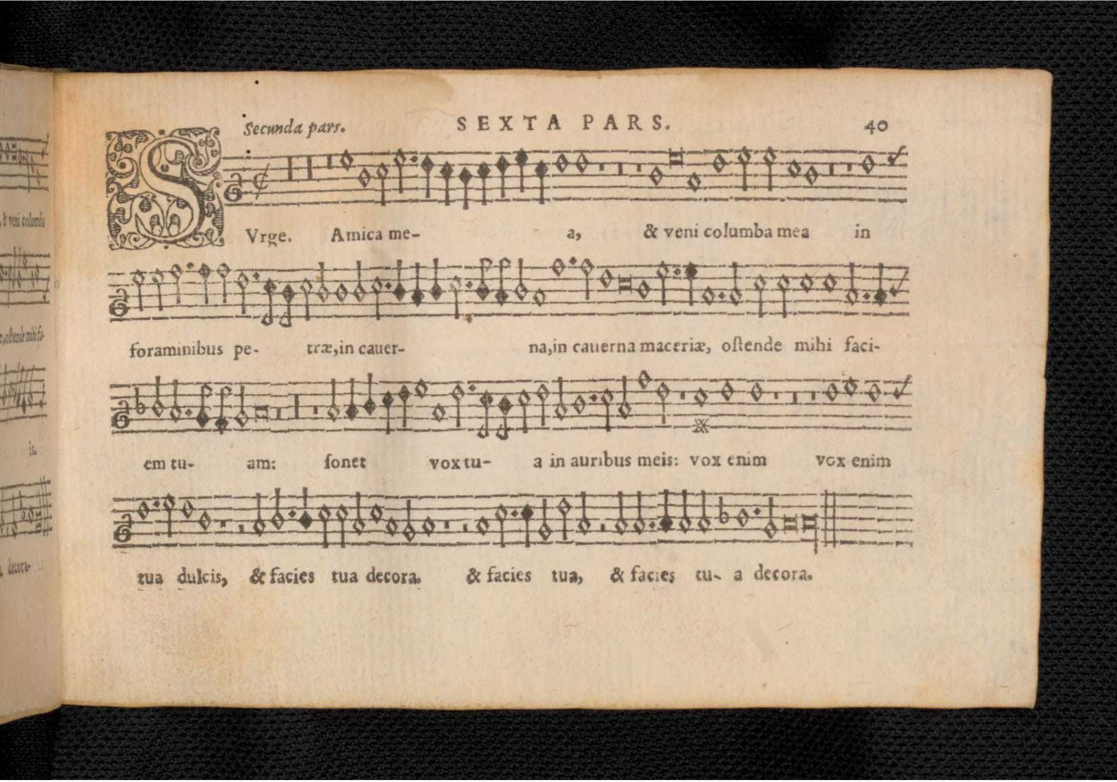 1576 - [Pierre de Saint-André] - Trésor de musique d’Orlande de Lassus Quinta et Sexta pars - KBR Bruxelles