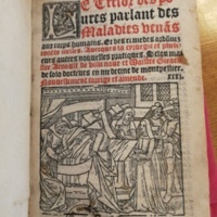 1535c. - Denis Janot et Alain Lotrian - Trésor des pauvres - Bibliothèque Sainte-Geneviève 1535c. - Denis Janot et Alain Lotrian - Trésor des pauvres - Bibliothèque Sainte-Geneviève