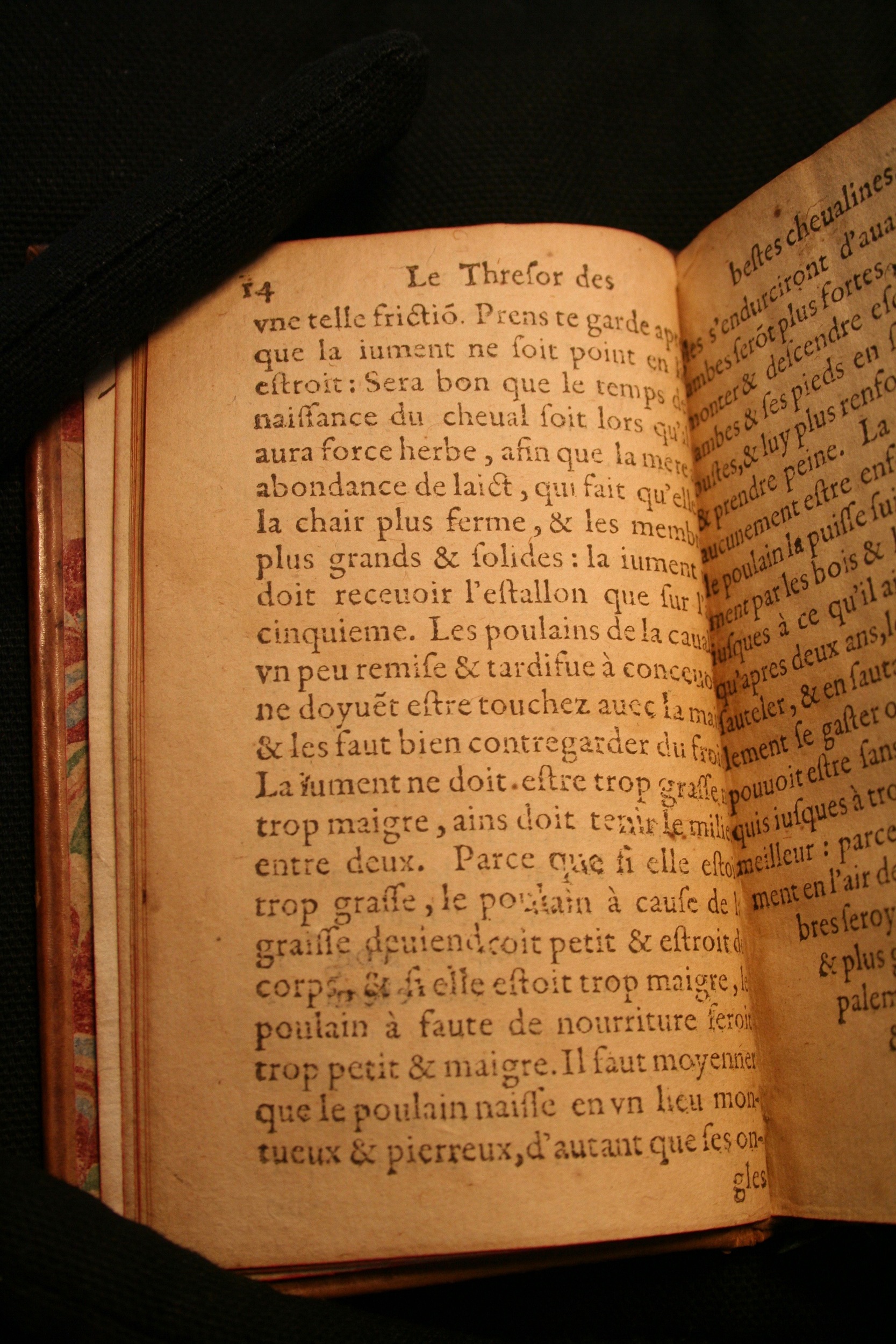 1591 - Pierre Chastaing et Benoît Rigaud - Trésor des bêtes chevalines - BM Bordeaux