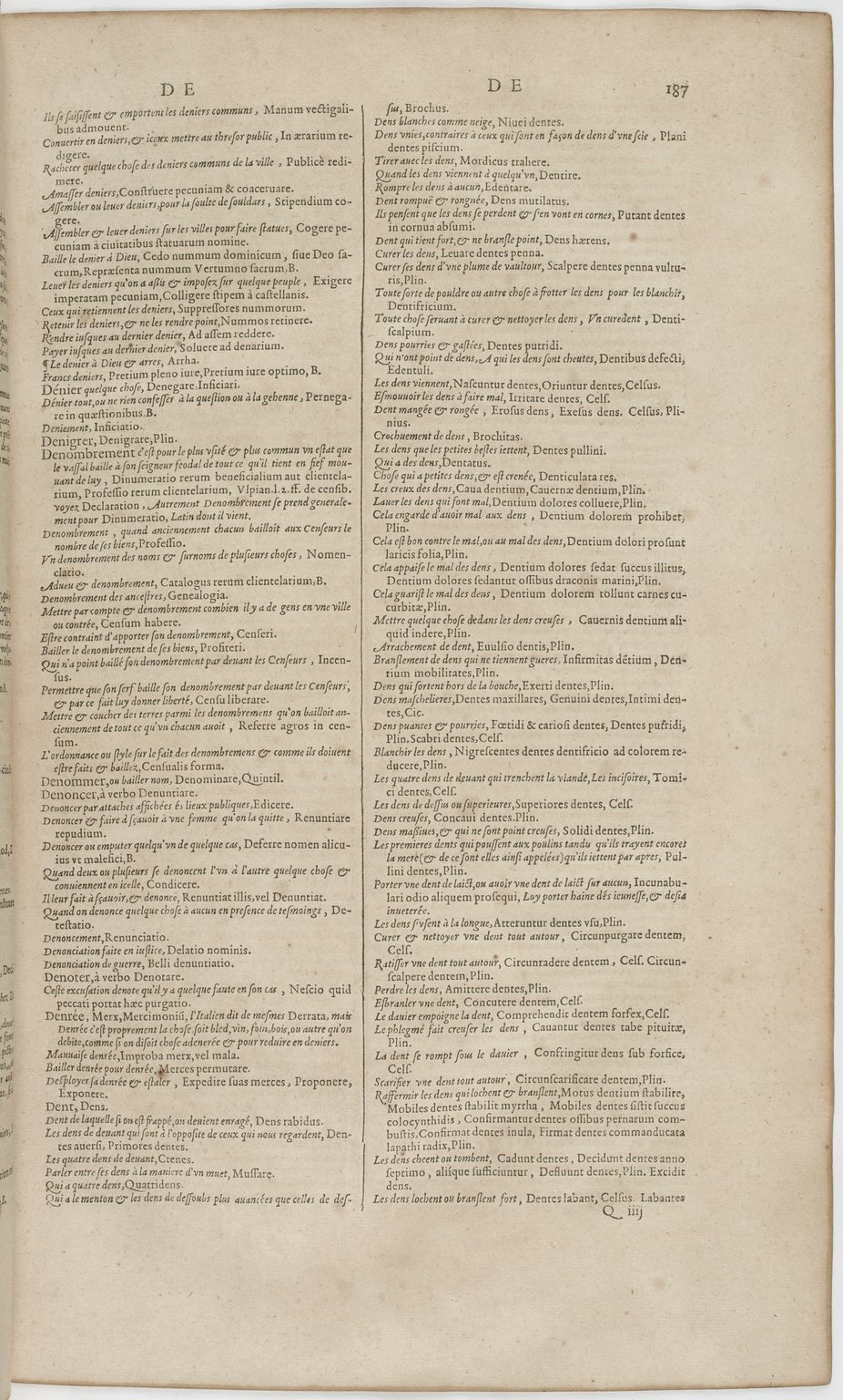 1606 - David Douceur - Trésor de la langue française - BnF