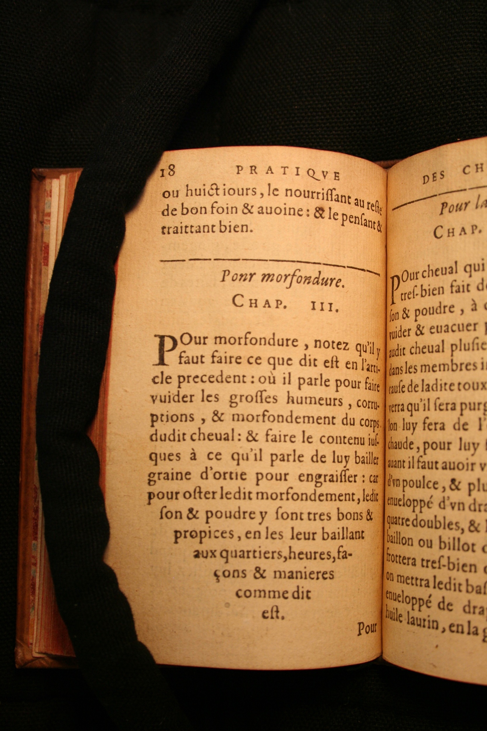 1591 - Pierre Chastaing et Benoît Rigaud - Trésor des bêtes chevalines - BM Bordeaux