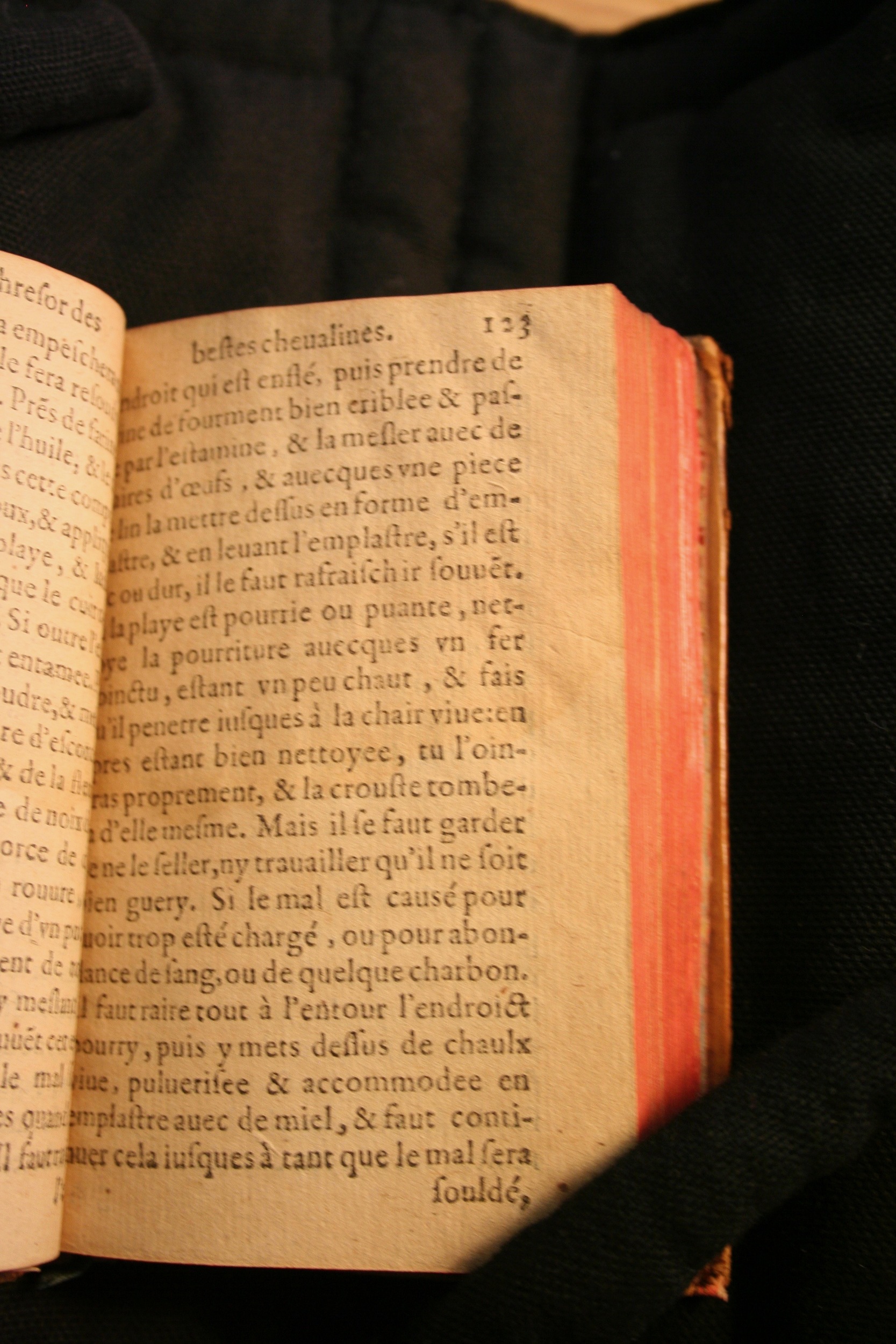 1591 - Pierre Chastaing et Benoît Rigaud - Trésor des bêtes chevalines - BM Bordeaux