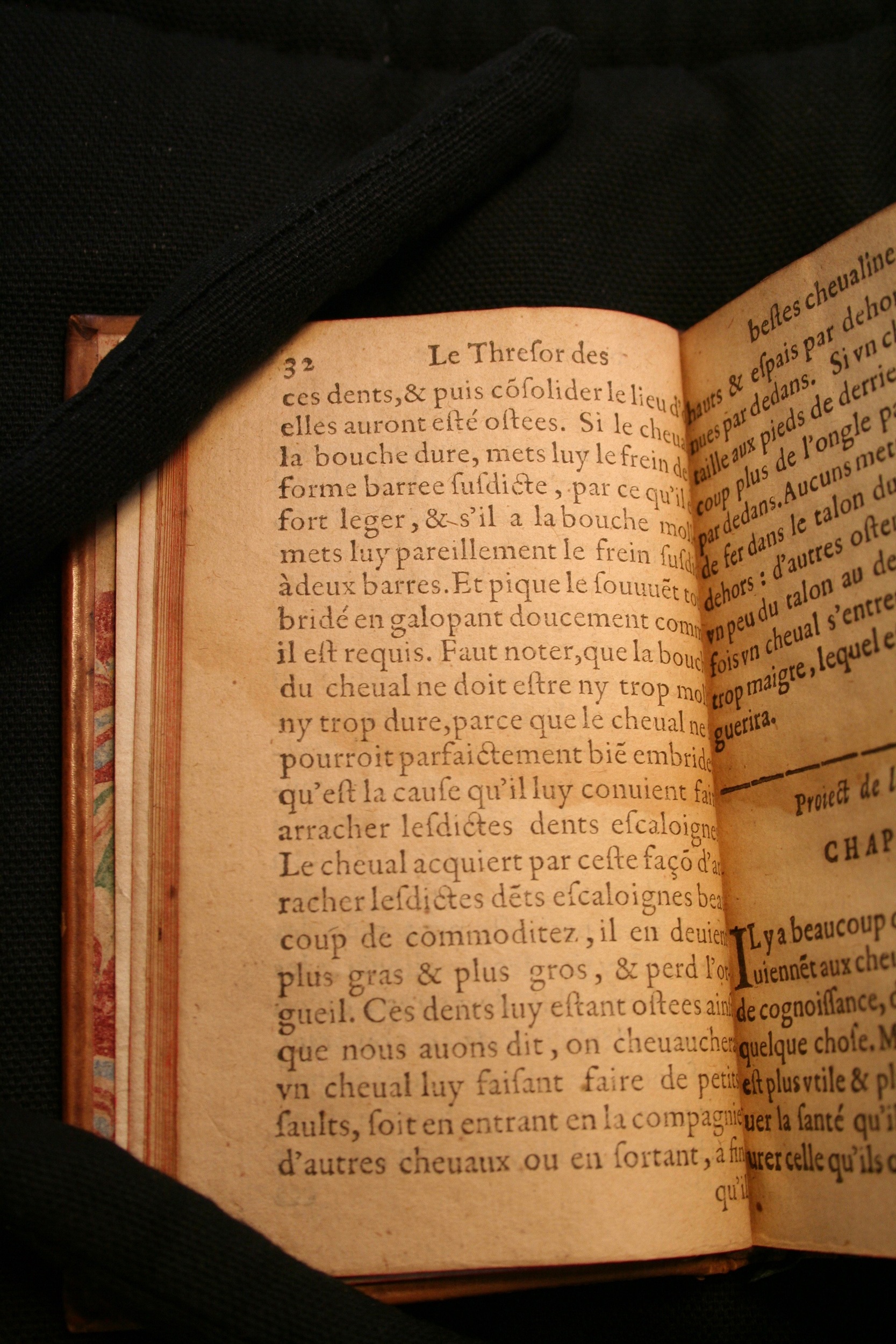 1591 - Pierre Chastaing et Benoît Rigaud - Trésor des bêtes chevalines - BM Bordeaux
