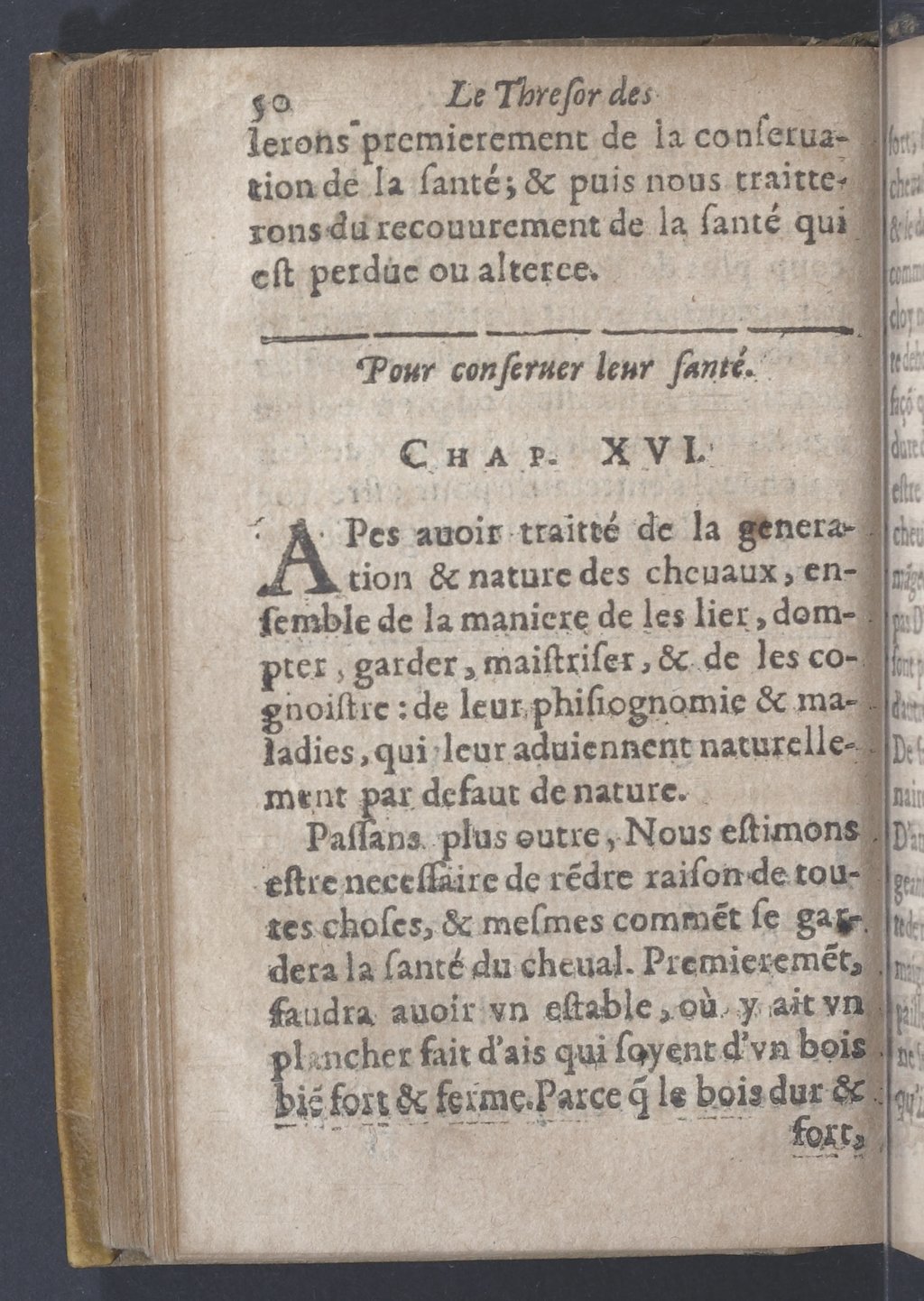 1619 - Pierre Rigaud - Trésor des bêtes chevalines - BnF