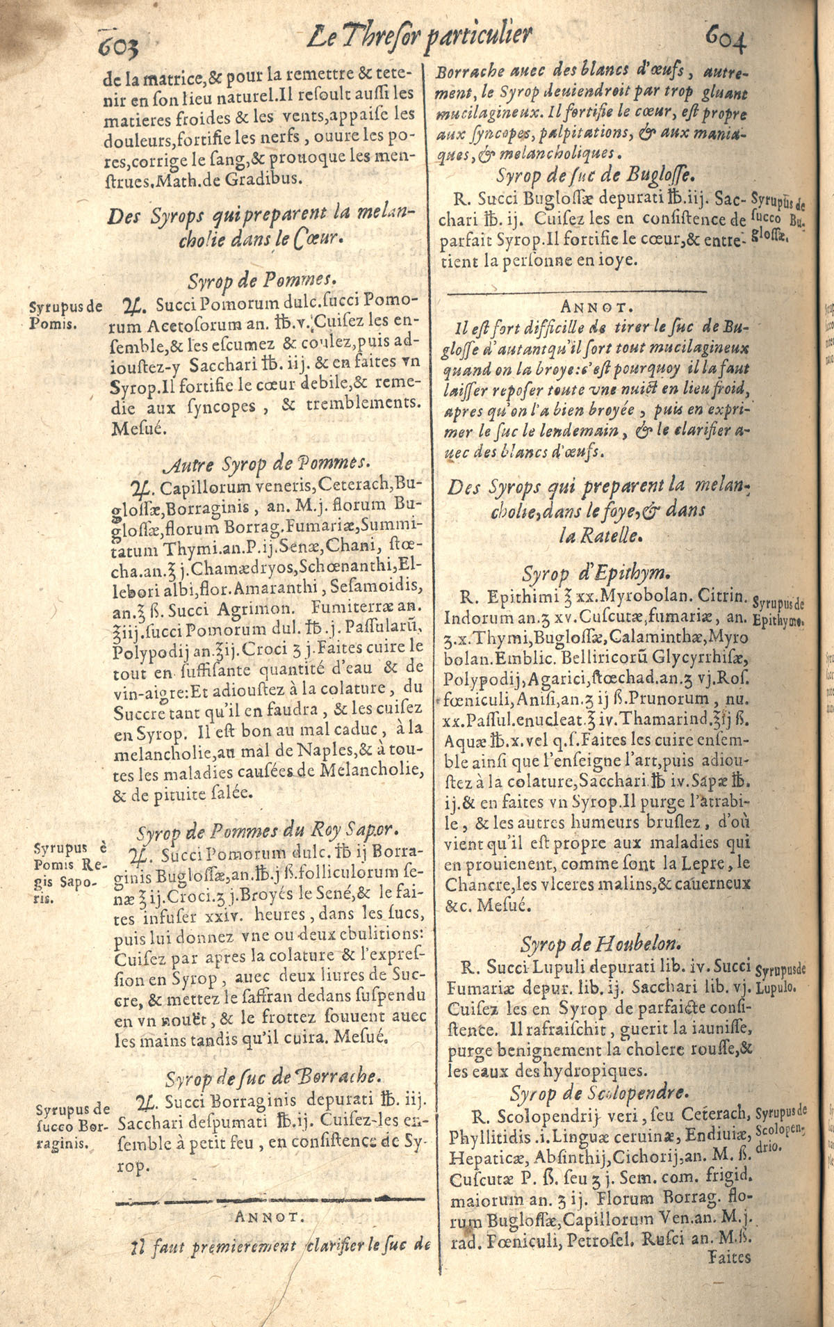 1610 - Étienne Gamonet - Grand Trésor ou dispensaire - CESR Tours 1610 - Étienne Gamonet - Grand Trésor ou dispensaire - CESR Tours