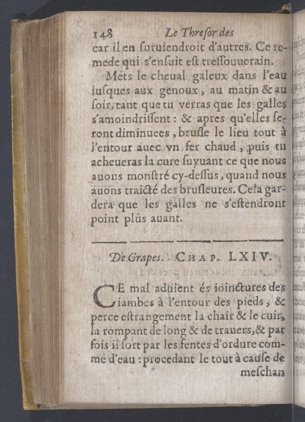 1619 - Pierre Rigaud - Trésor des bêtes chevalines - BnF