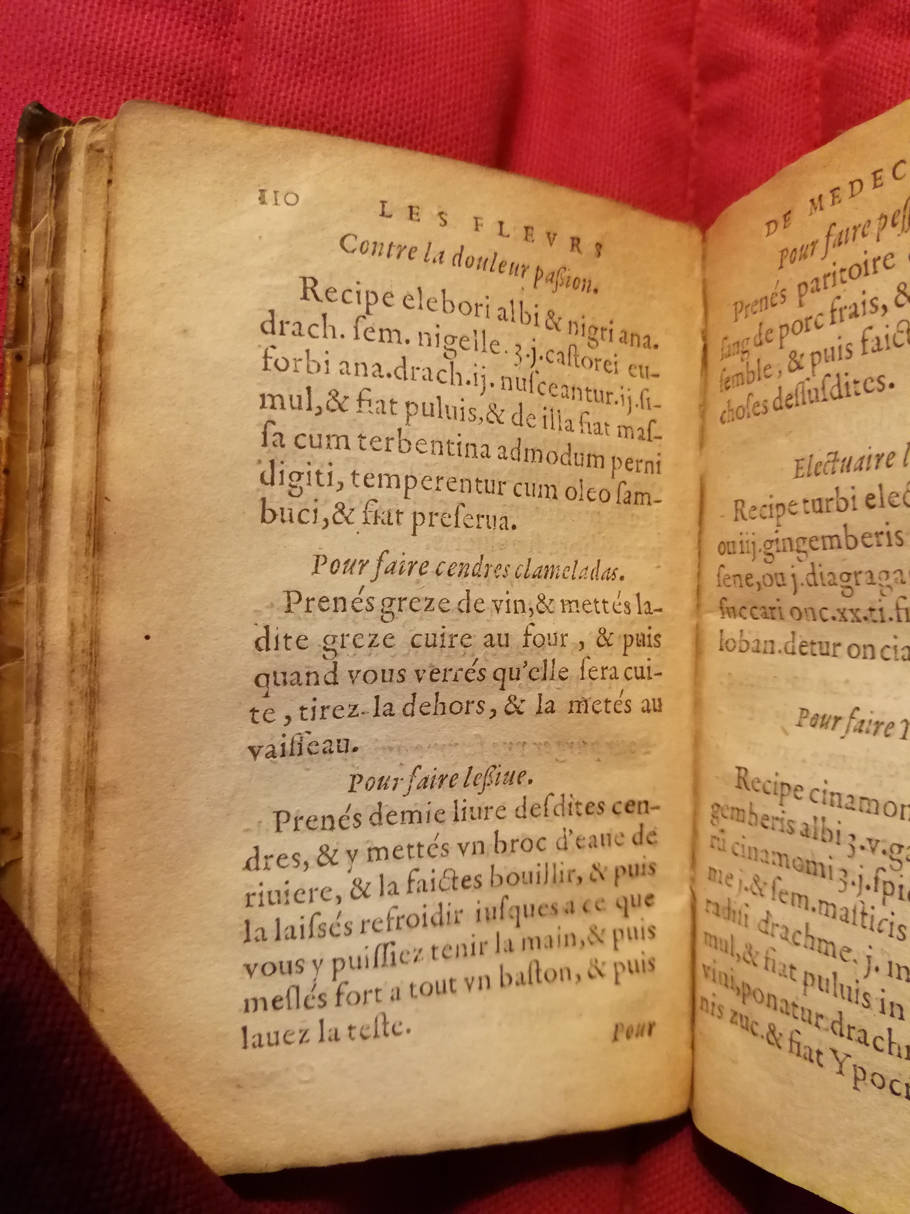 1586 - Benoît Rigaud - Trésor des fleurs et secrets de médecine - Sainte-Geneviève