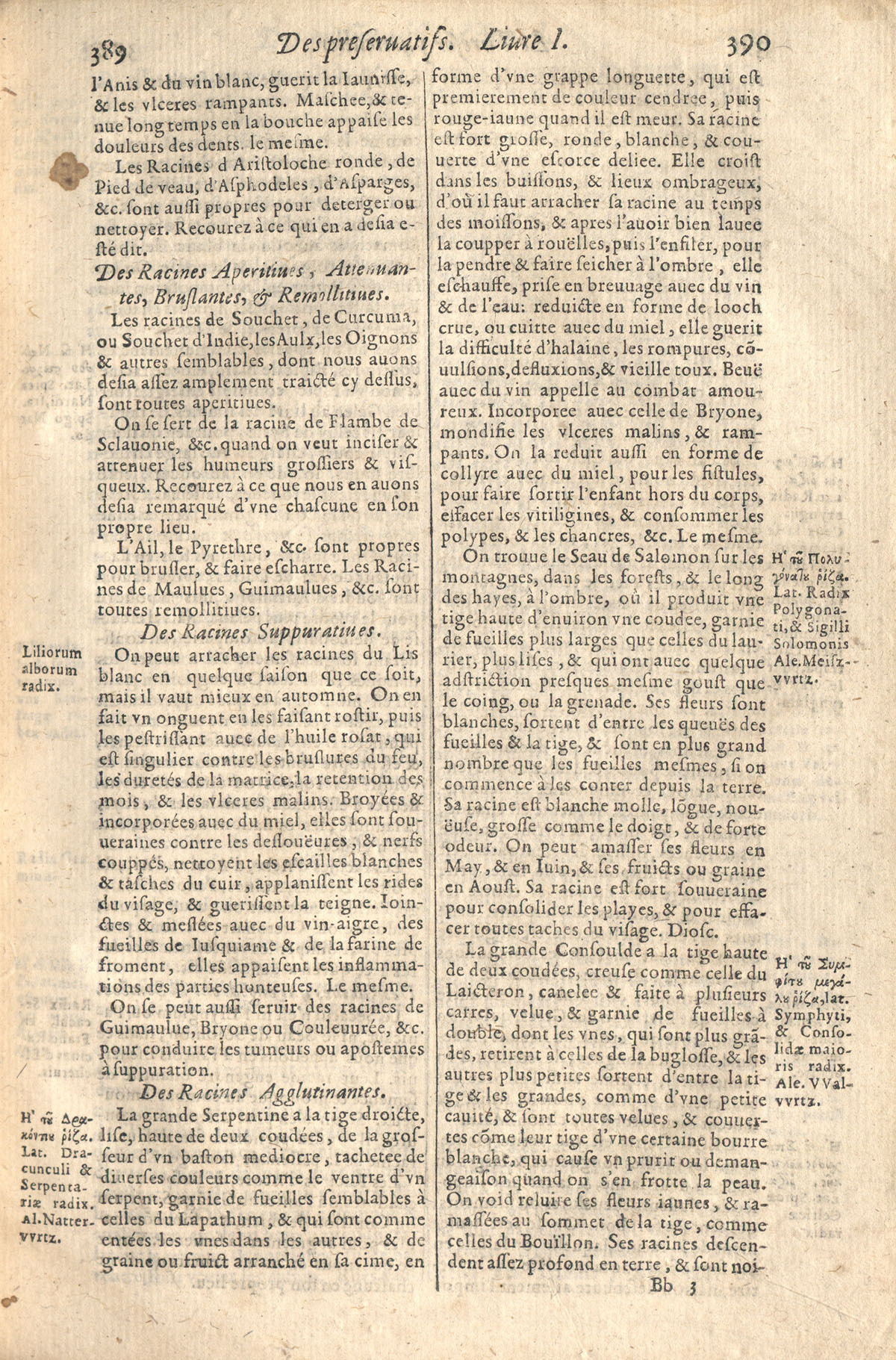 1610 - Étienne Gamonet - Grand Trésor ou dispensaire - CESR Tours