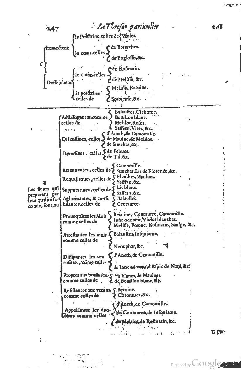 1616 - Étienne Gamonet - Grand trésor ou dispensaire - BSB Munich