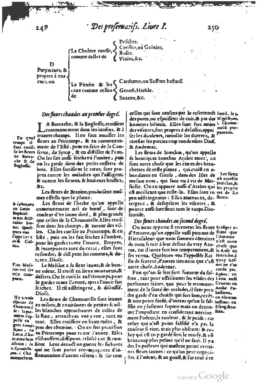 1616 - Étienne Gamonet - Grand trésor ou dispensaire - BSB Munich