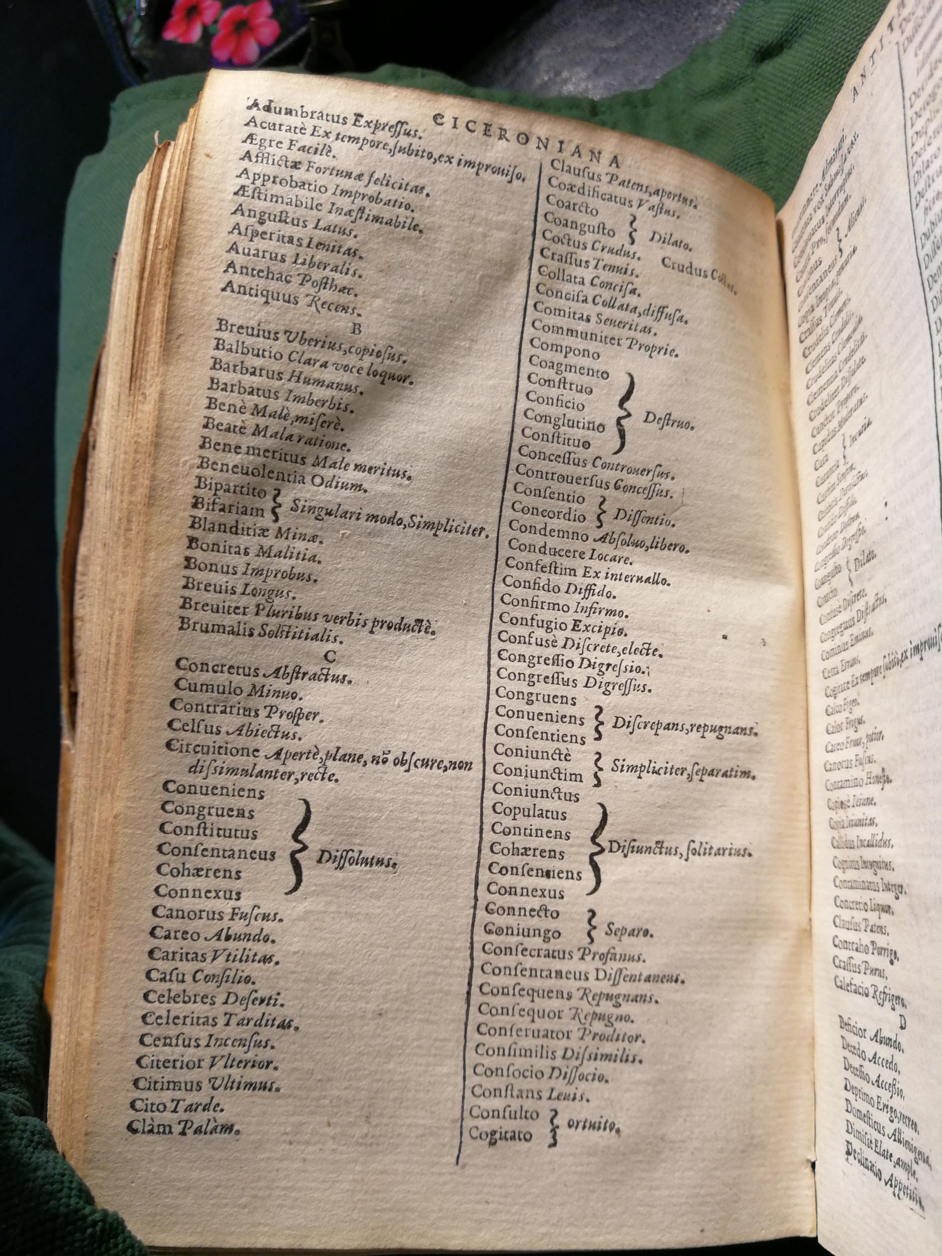 1597 - Martin le Mégissier - Trésor des mots et traits français - BnF