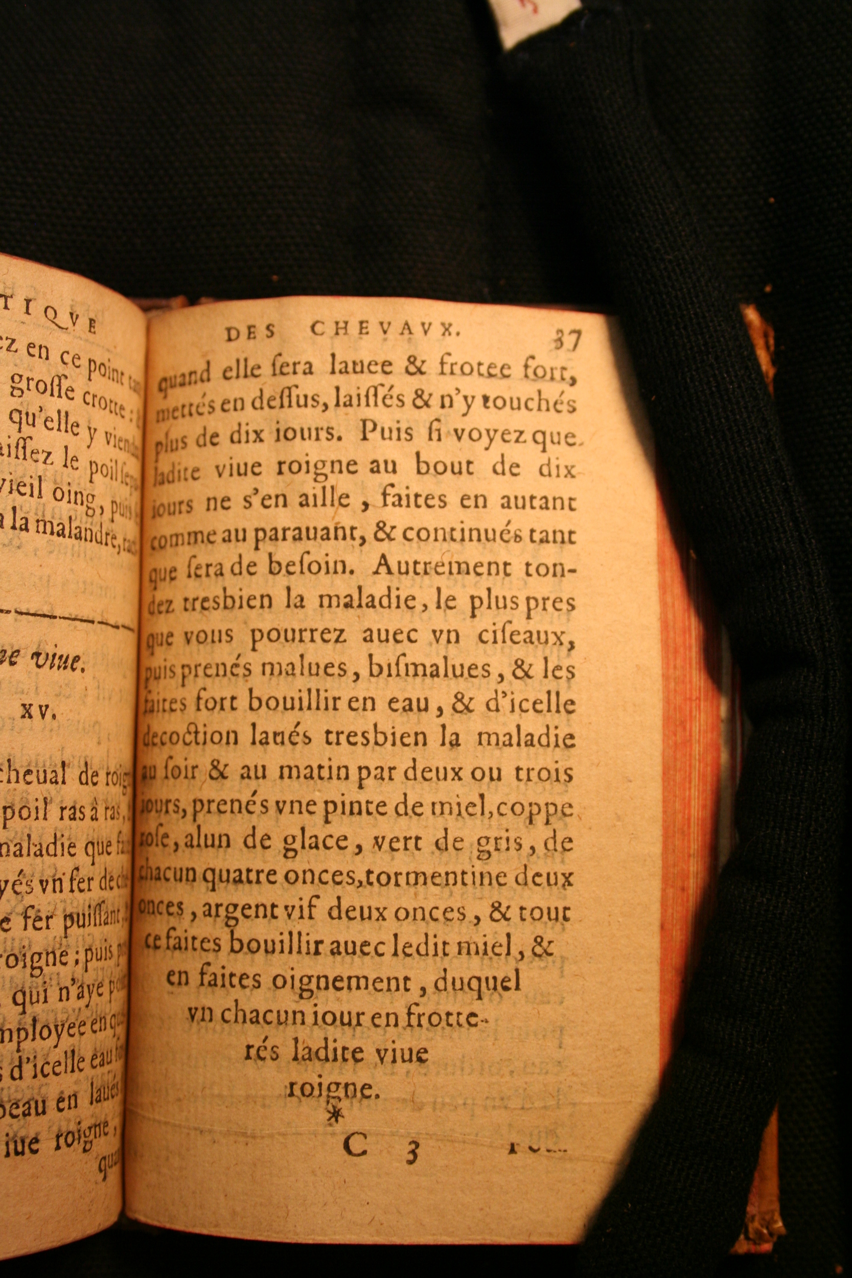 1591 - Pierre Chastaing et Benoît Rigaud - Trésor des bêtes chevalines - BM Bordeaux