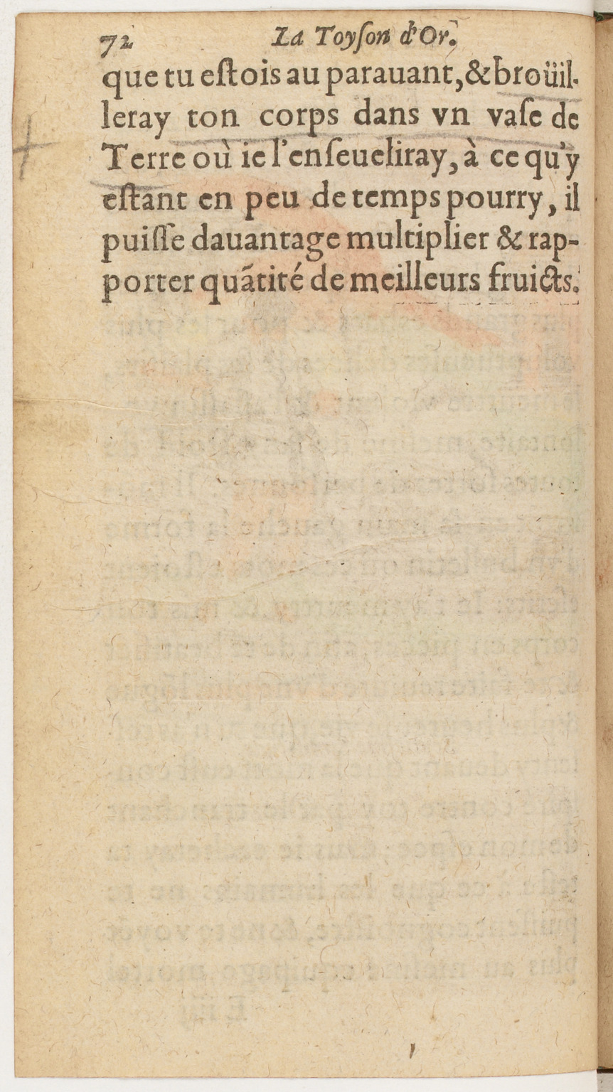 1612 - Charles Sevestre - Toison d’or ou la fleur des Trésors - BnF