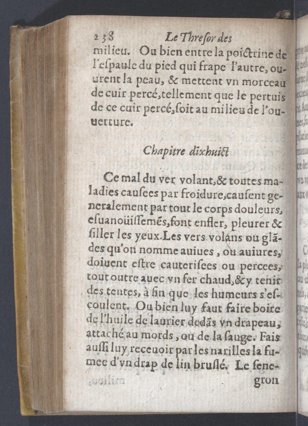 1619 - Pierre Rigaud - Trésor des bêtes chevalines - BnF 1619 - Pierre Rigaud - Trésor des bêtes chevalines - BnF