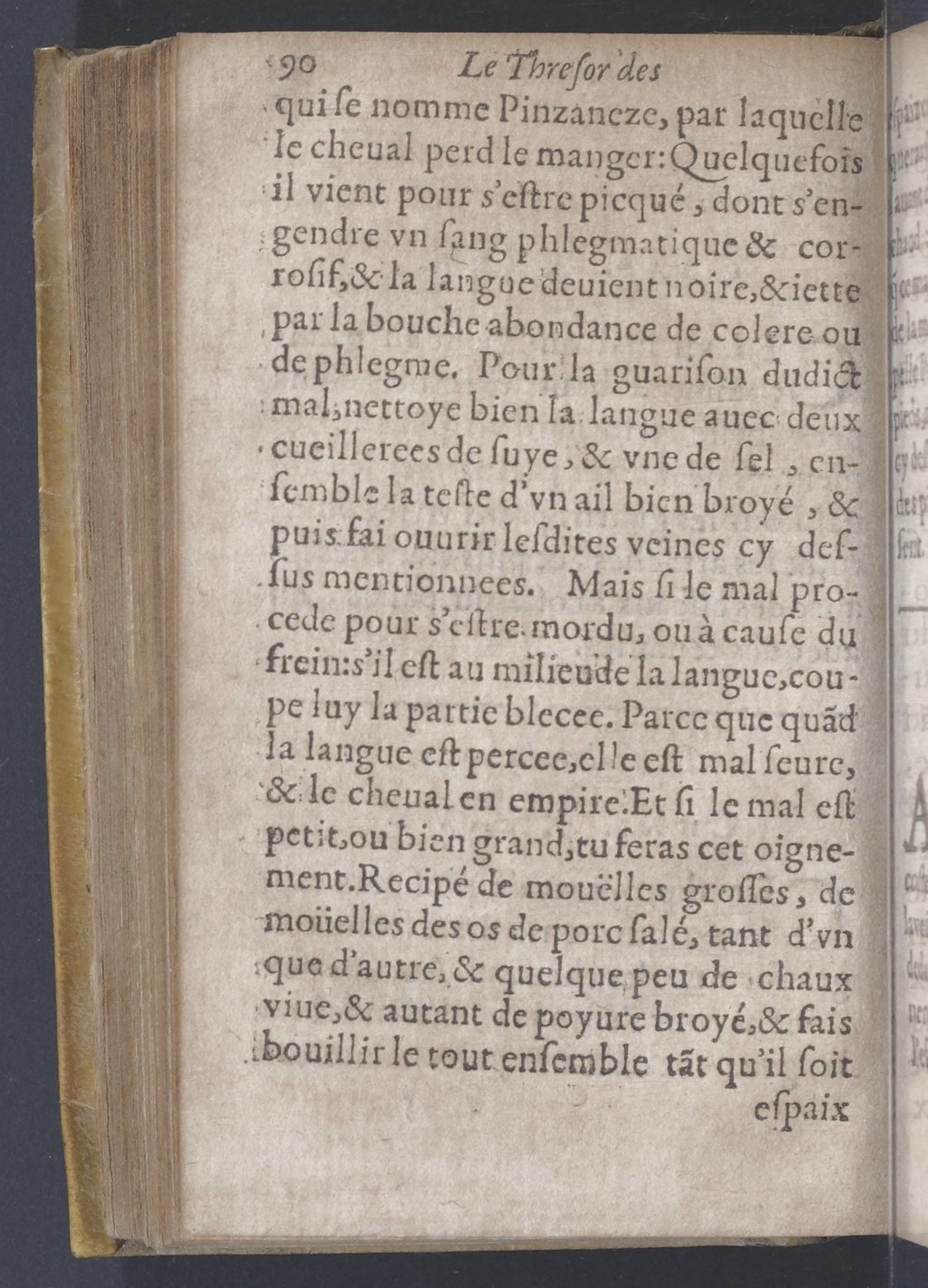 1619 - Pierre Rigaud - Trésor des bêtes chevalines - BnF