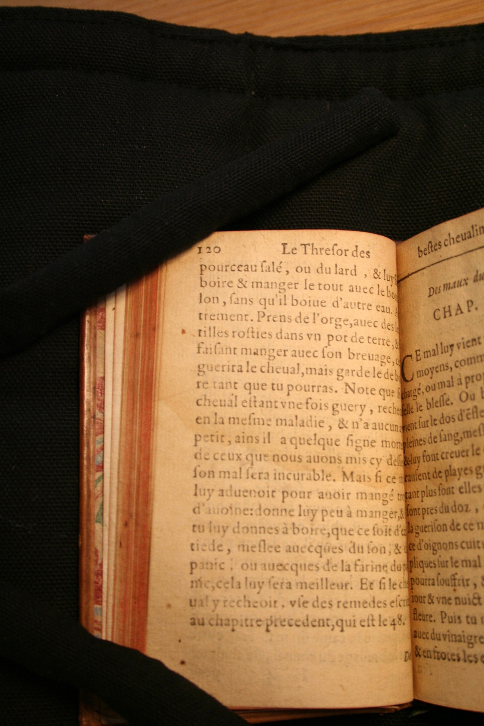 1591 - Pierre Chastaing et Benoît Rigaud - Trésor des bêtes chevalines - BM Bordeaux