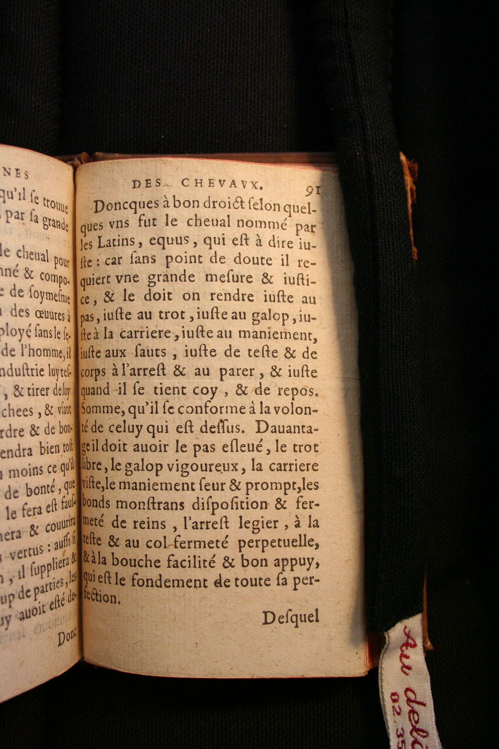 1591 - Pierre Chastaing et Benoît Rigaud - Trésor des bêtes chevalines - BM Bordeaux