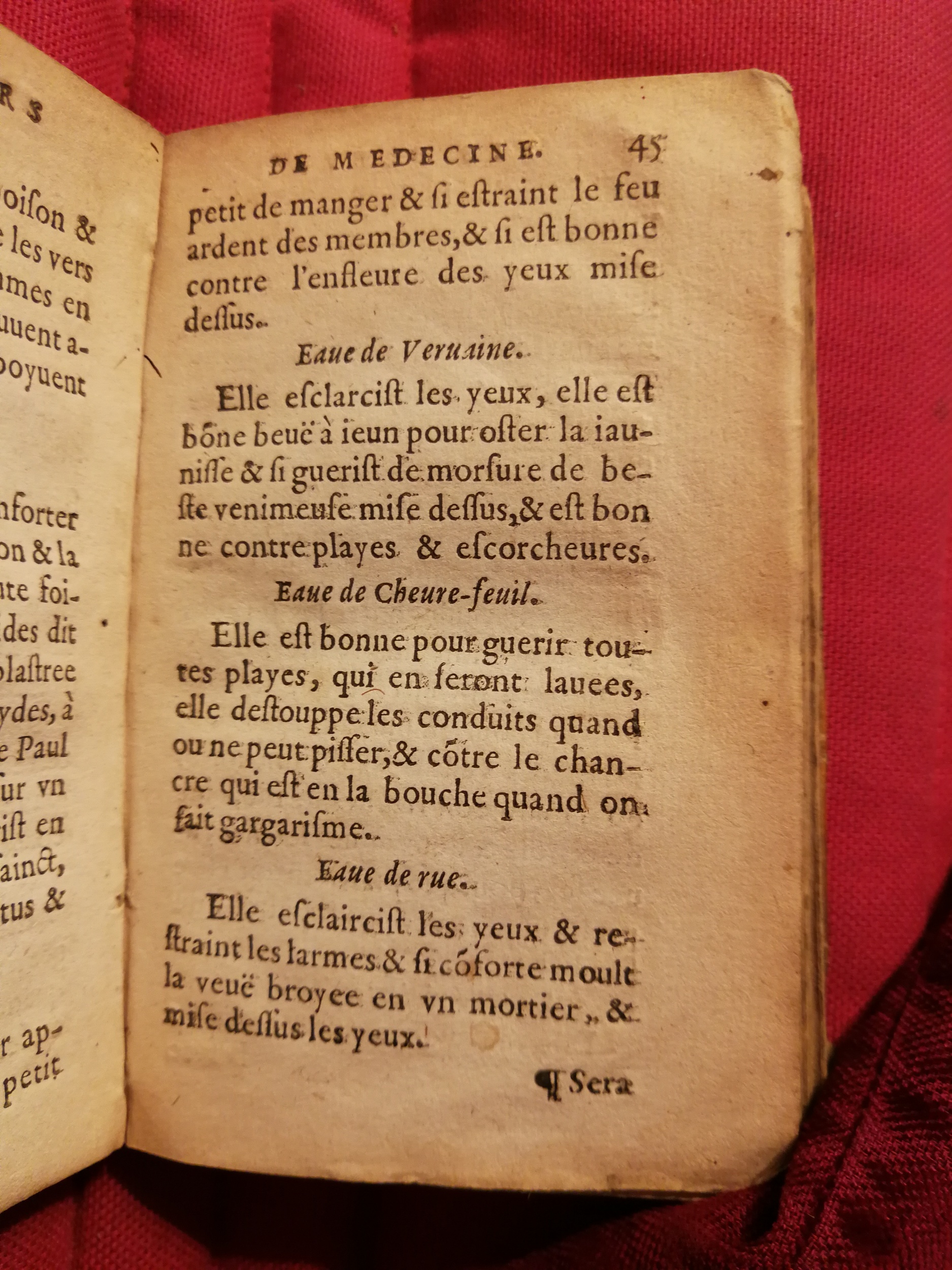1586 - Benoît Rigaud - Trésor des fleurs et secrets de médecine - Sainte-Geneviève
