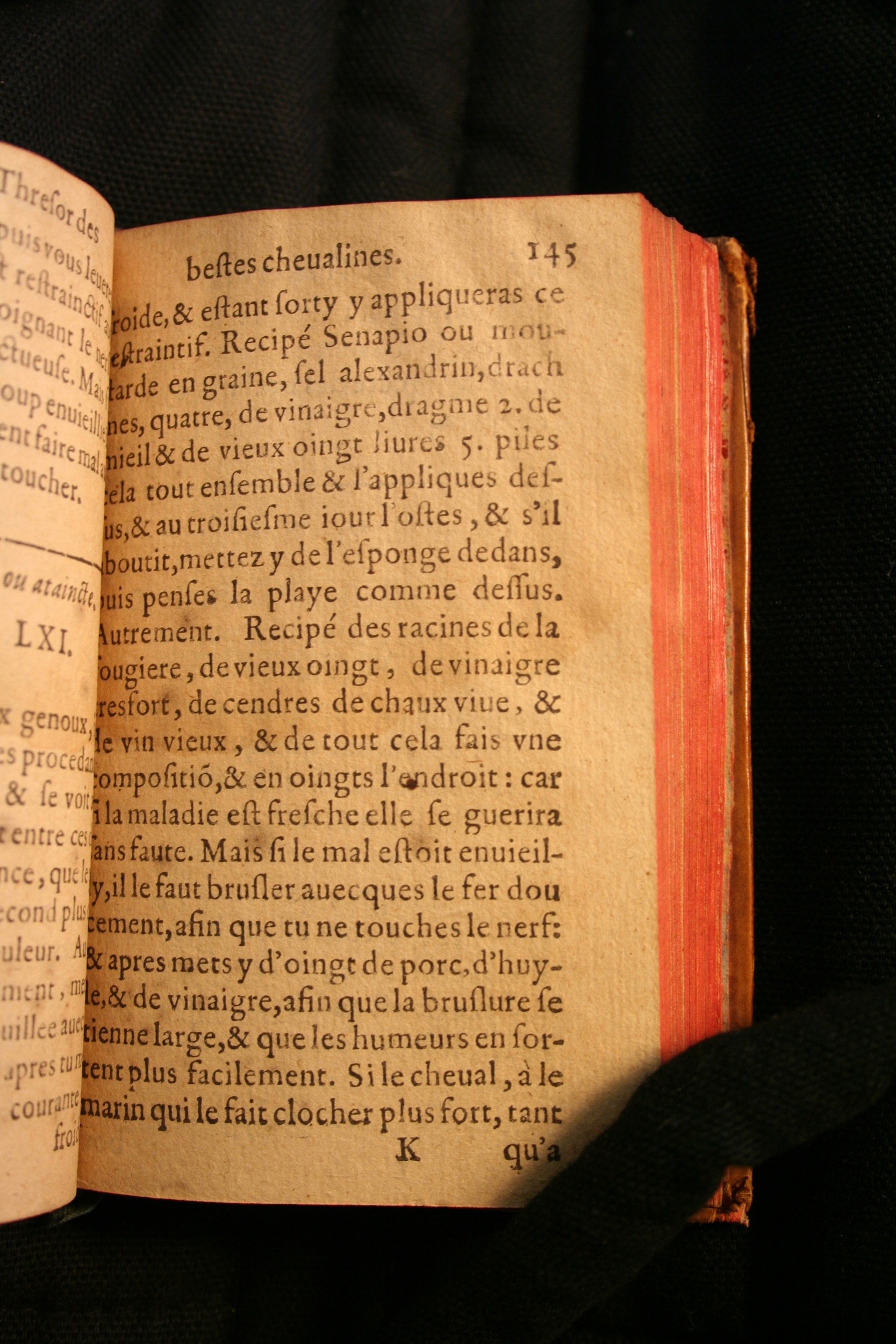 1591 - Pierre Chastaing et Benoît Rigaud - Trésor des bêtes chevalines - BM Bordeaux