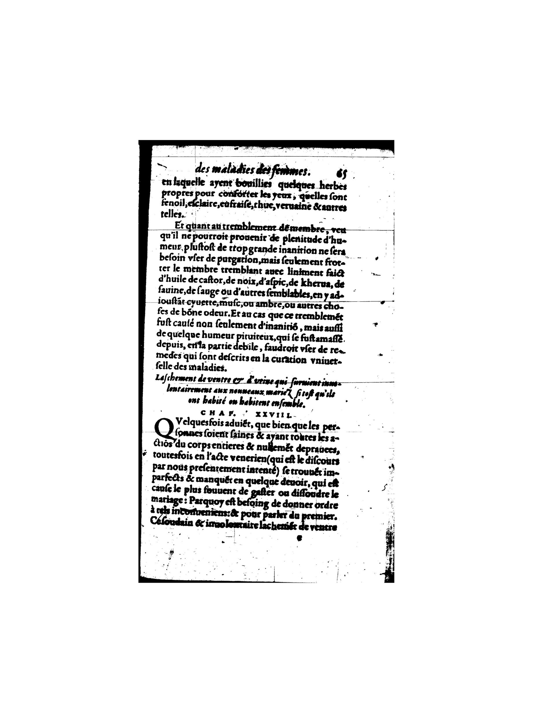 1587 - Jacques du Puis - Trésor des remèdes secrets pour les maladies des femmes - BnF