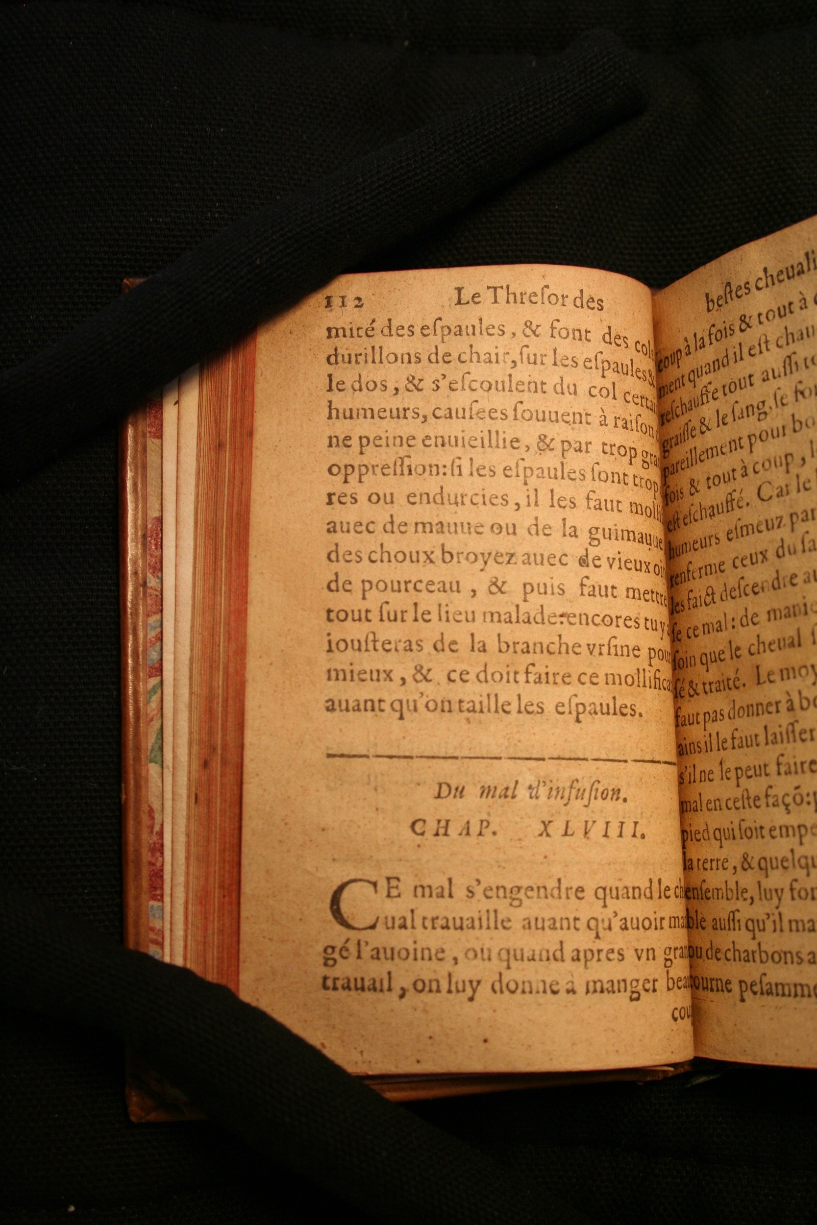 1591 - Pierre Chastaing et Benoît Rigaud - Trésor des bêtes chevalines - BM Bordeaux
