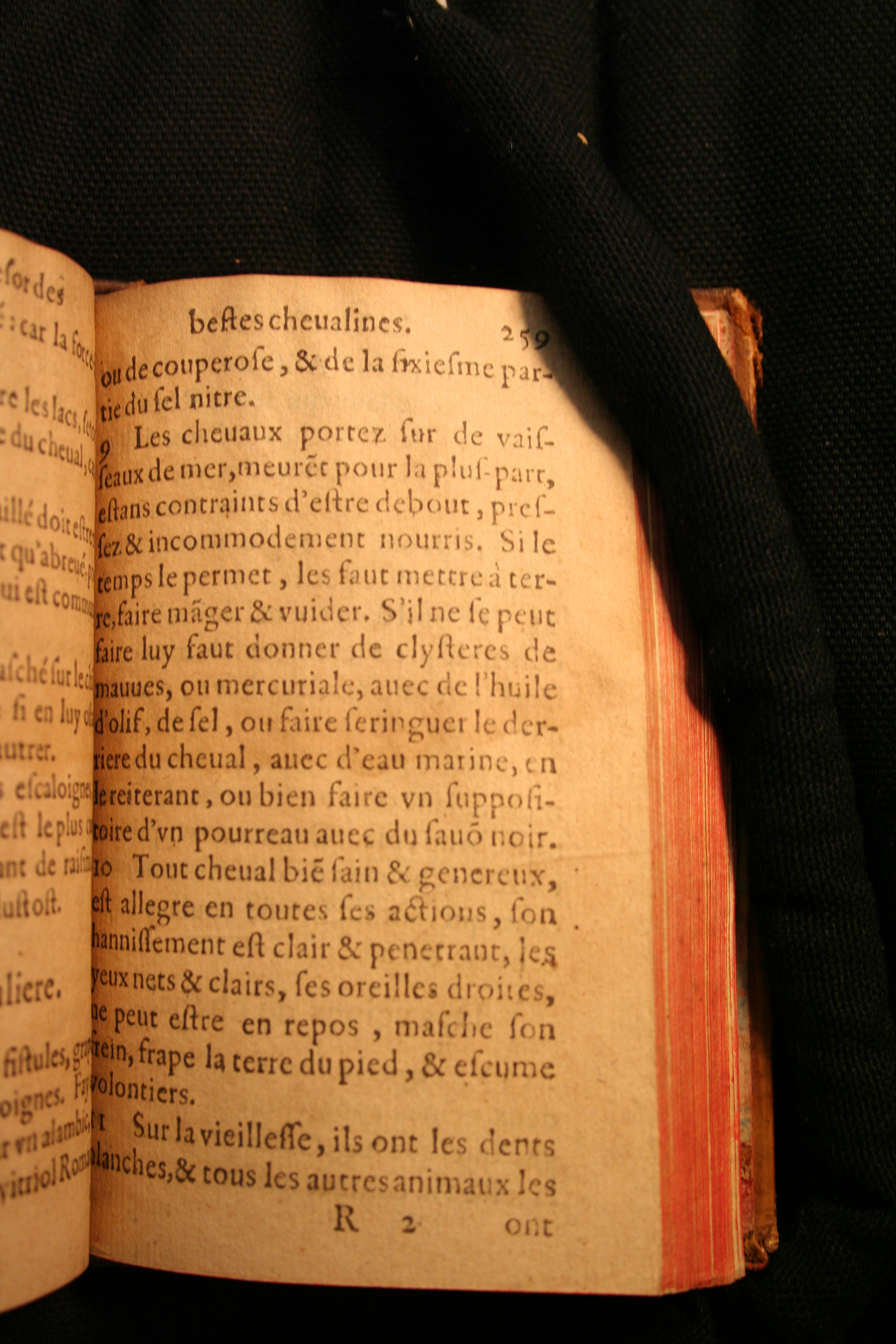 1591 - Pierre Chastaing et Benoît Rigaud - Trésor des bêtes chevalines - BM Bordeaux