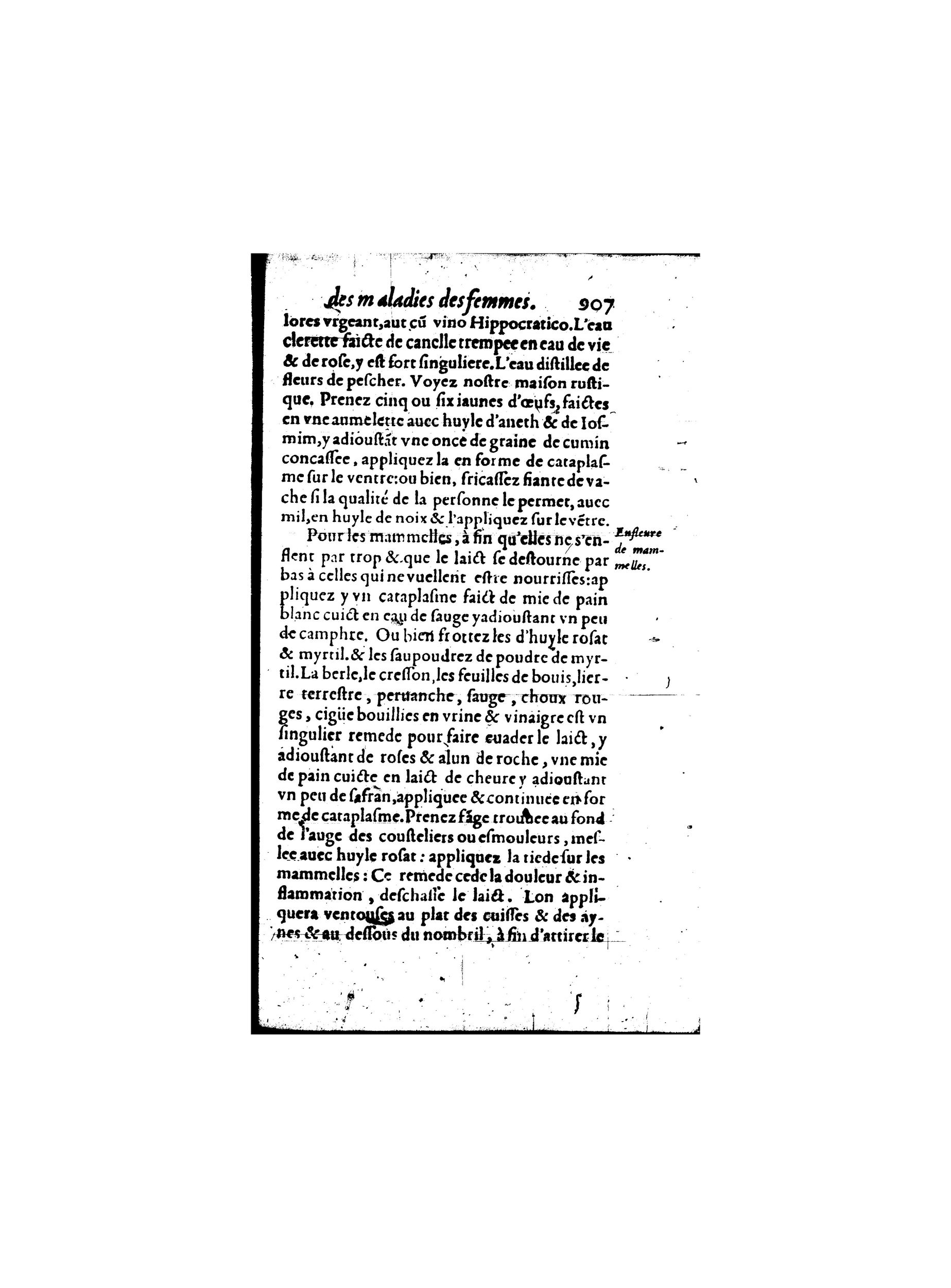 1587 - Jacques du Puis - Trésor des remèdes secrets pour les maladies des femmes - BnF 1587 - Jacques du Puis - Trésor des remèdes secrets pour les maladies des femmes - BnF