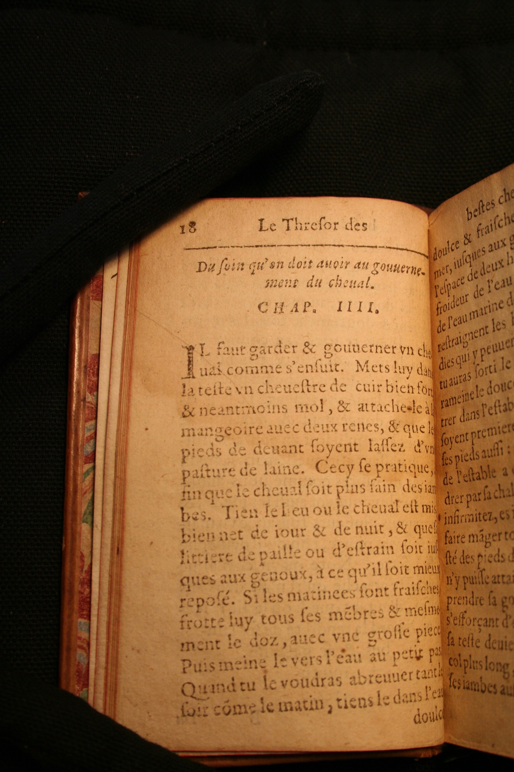 1591 - Pierre Chastaing et Benoît Rigaud - Trésor des bêtes chevalines - BM Bordeaux