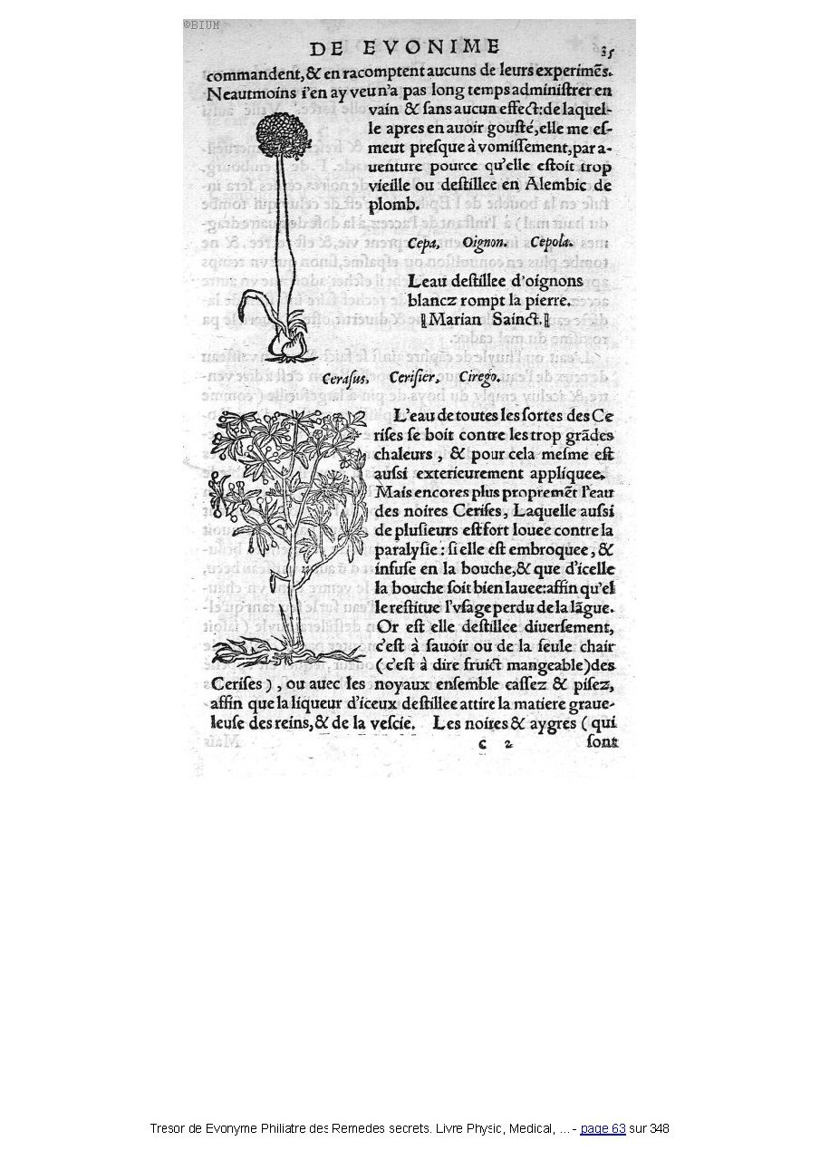 1555 Tresor de Evonime Philiatre Arnoullet 1_Page_063.jpg