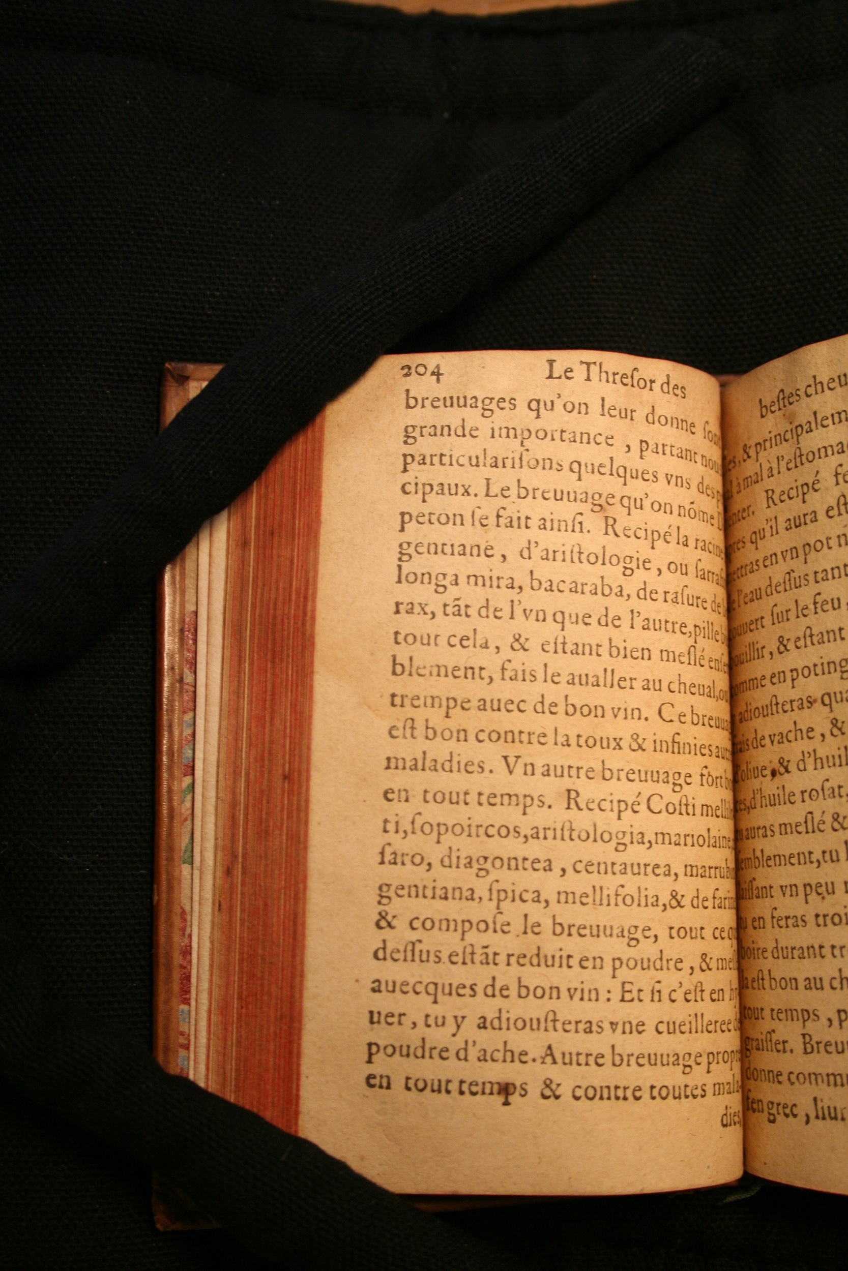 1591 - Pierre Chastaing et Benoît Rigaud - Trésor des bêtes chevalines - BM Bordeaux