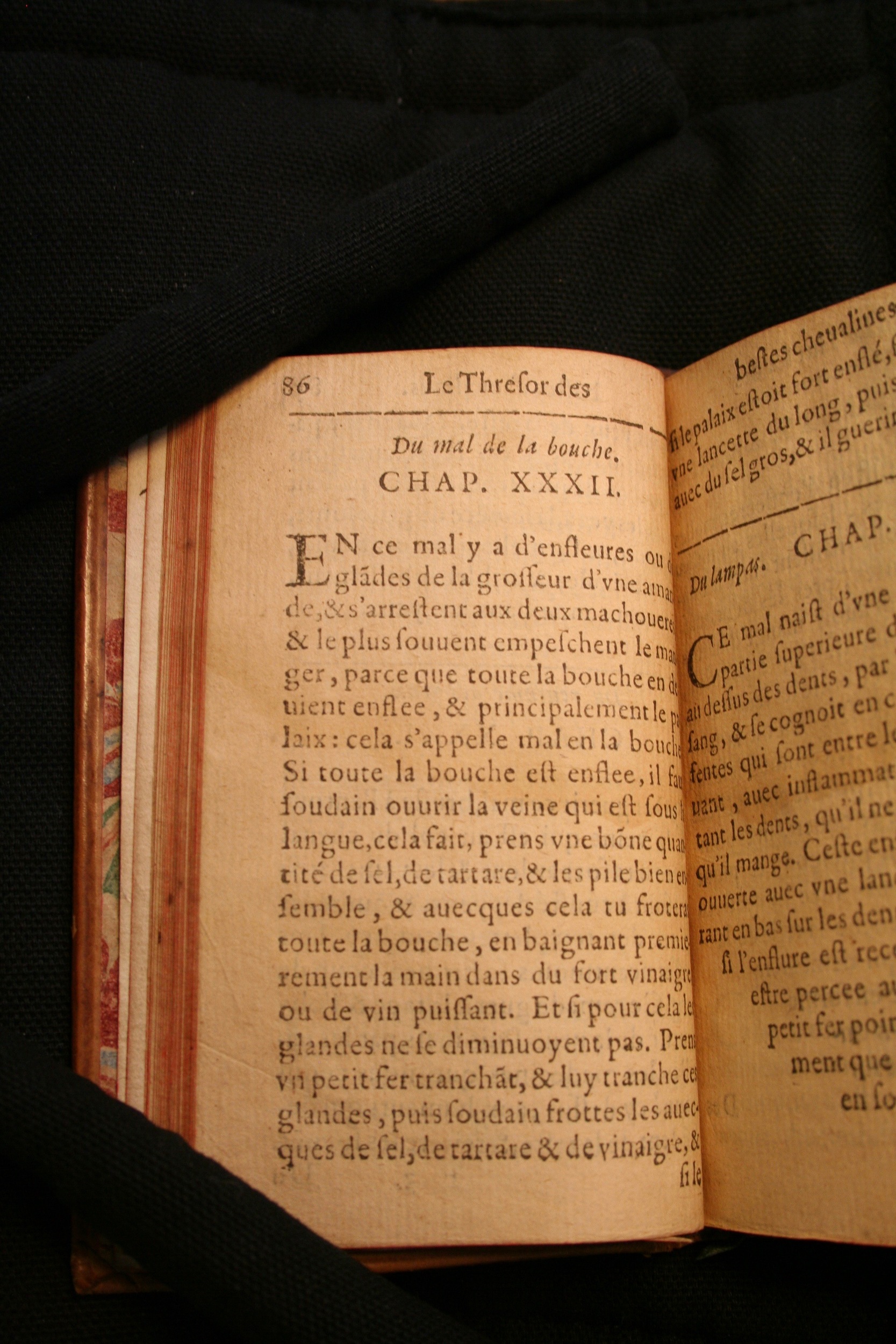 1591 - Pierre Chastaing et Benoît Rigaud - Trésor des bêtes chevalines - BM Bordeaux