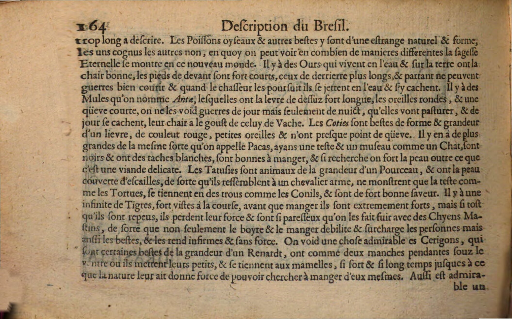 1602 - Christoffle Guyot et Corneille Nicolas - Trésor des chartes - BSB Munich