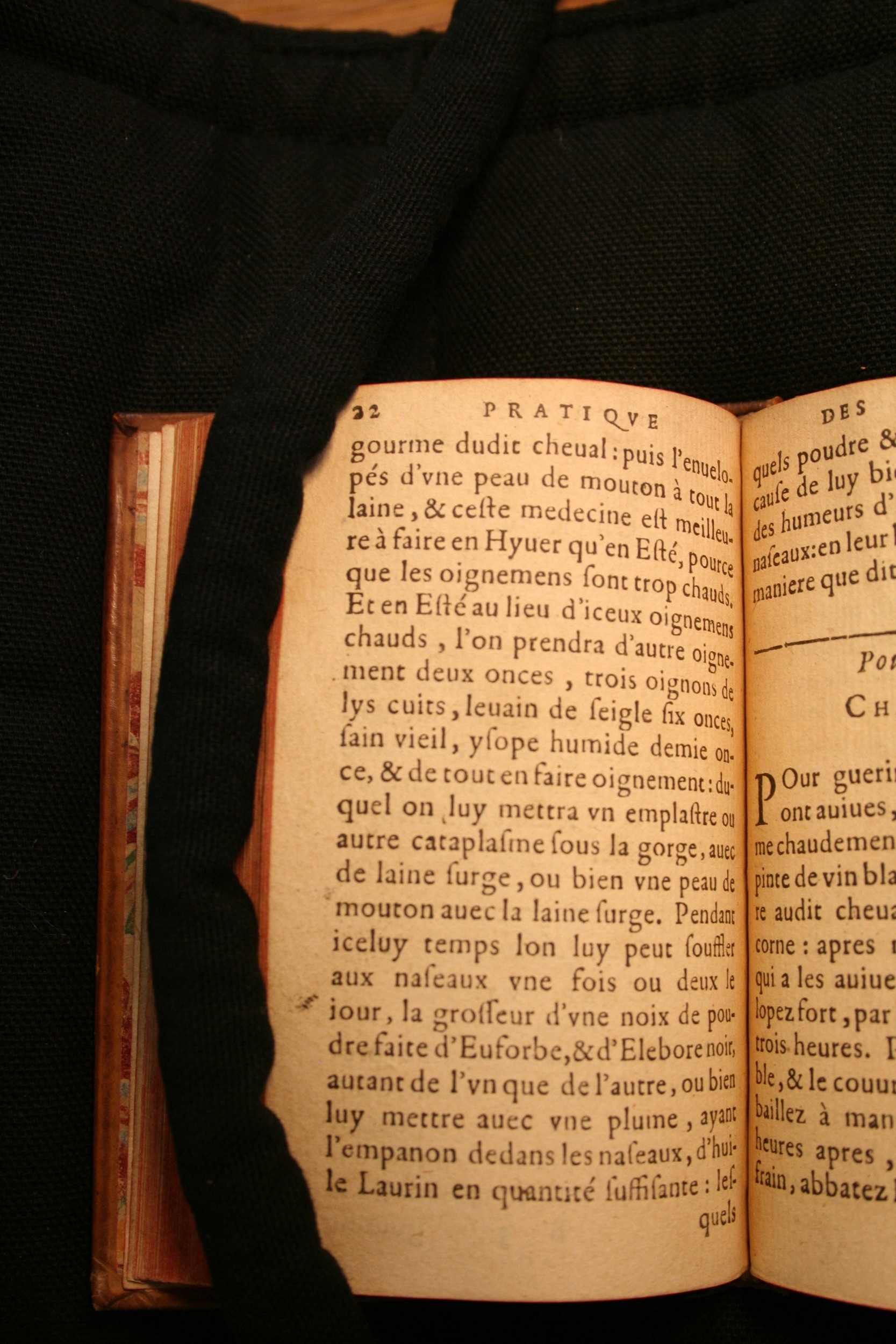 1591 - Pierre Chastaing et Benoît Rigaud - Trésor des bêtes chevalines - BM Bordeaux