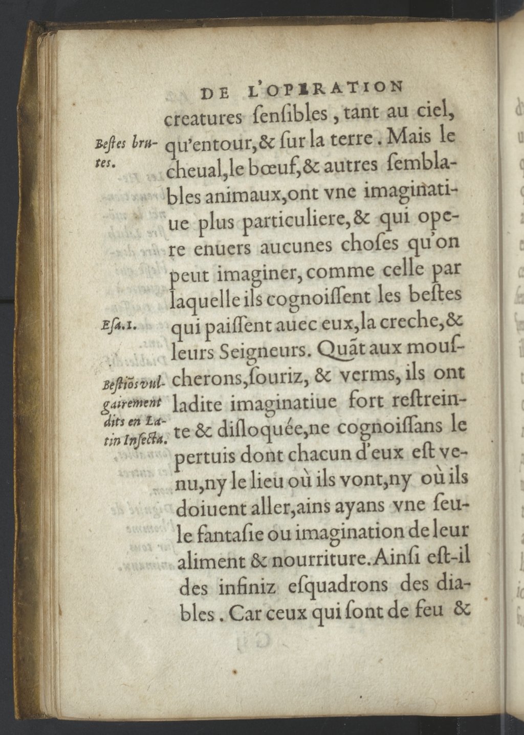 1576c. - Guillaume Chaudière - Trésor de la foi catholique - BnF 1576c. - Guillaume Chaudière - Trésor de la foi catholique - BnF