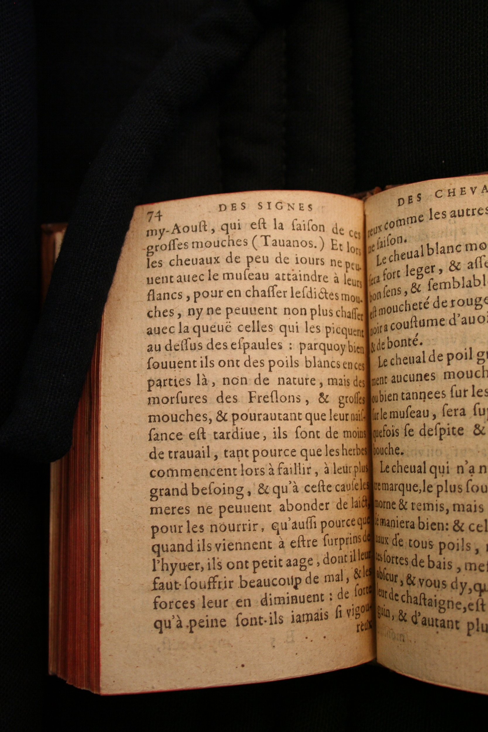 1591 - Pierre Chastaing et Benoît Rigaud - Trésor des bêtes chevalines - BM Bordeaux