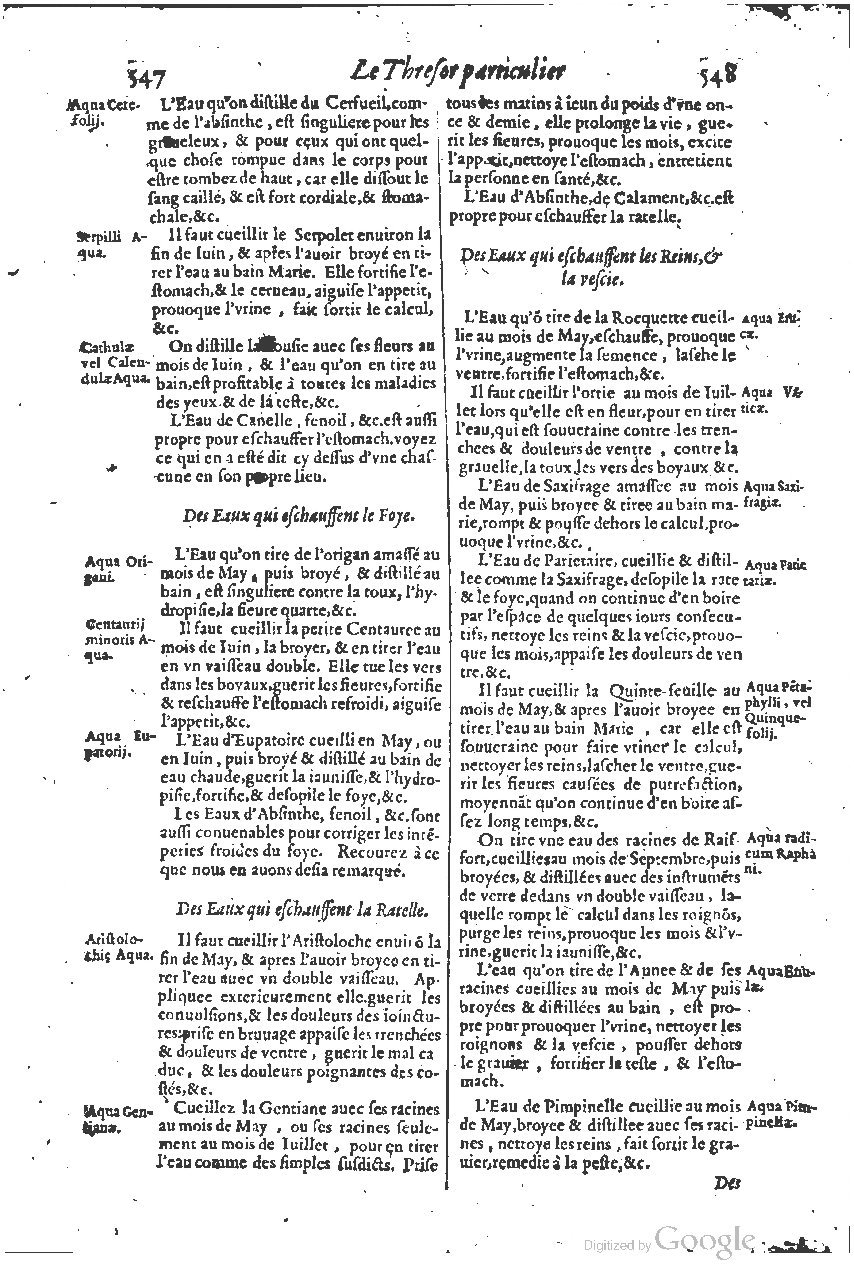 1616 - Étienne Gamonet - Grand trésor ou dispensaire - BSB Munich