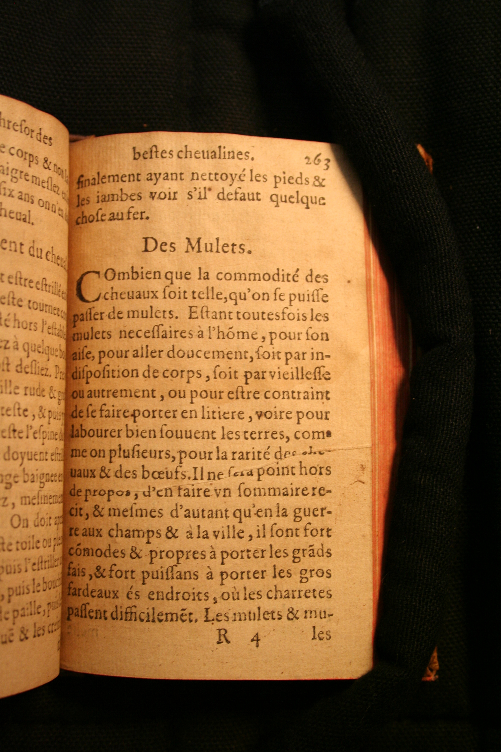 1591 - Pierre Chastaing et Benoît Rigaud - Trésor des bêtes chevalines - BM Bordeaux