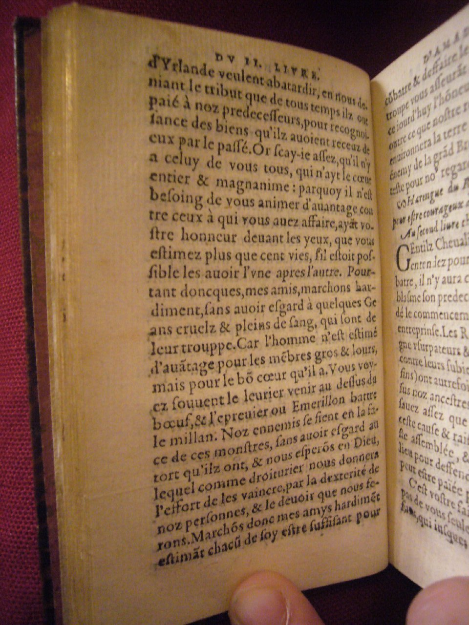 1564 - Vincent Norment et Jeanne Bruneau - Trésor des Amadis - BnF