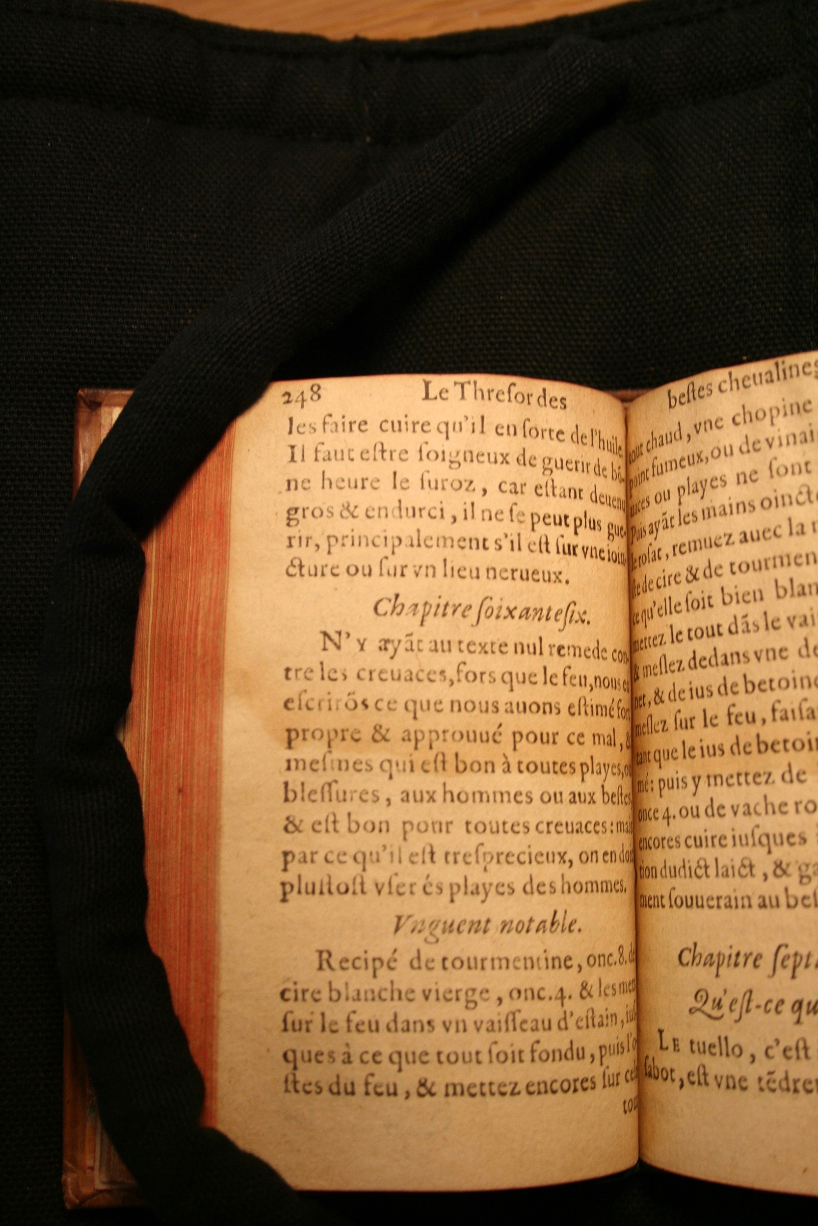 1591 - Pierre Chastaing et Benoît Rigaud - Trésor des bêtes chevalines - BM Bordeaux