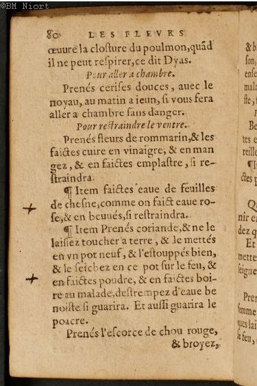 1586 - Benoît Rigaud - Trésor des fleurs et secrets de médecine - Université Paris Cité